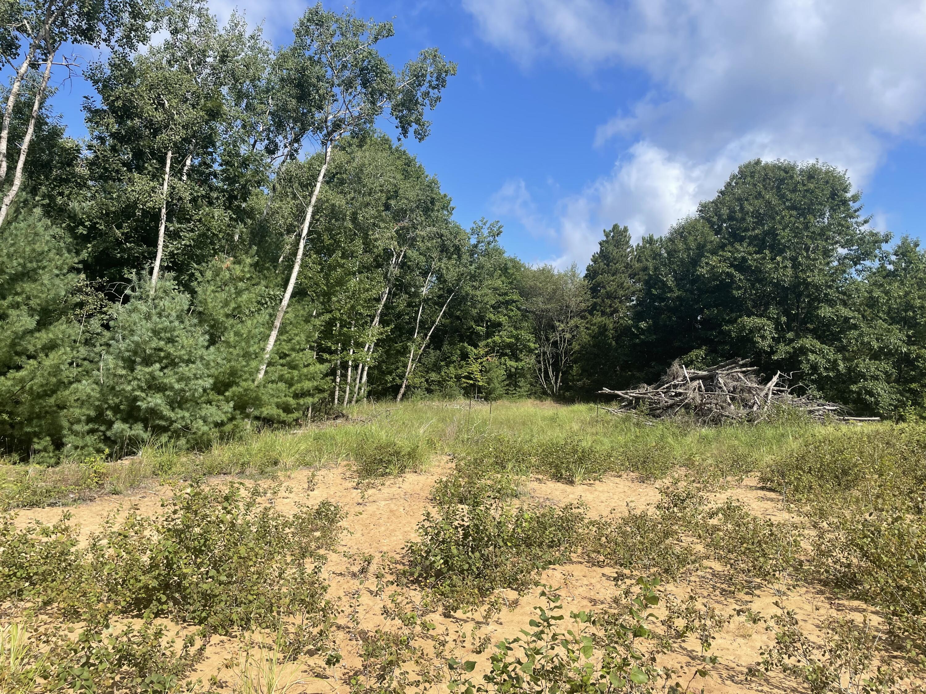 6367 N Dune Grass Trail Property Photo 2