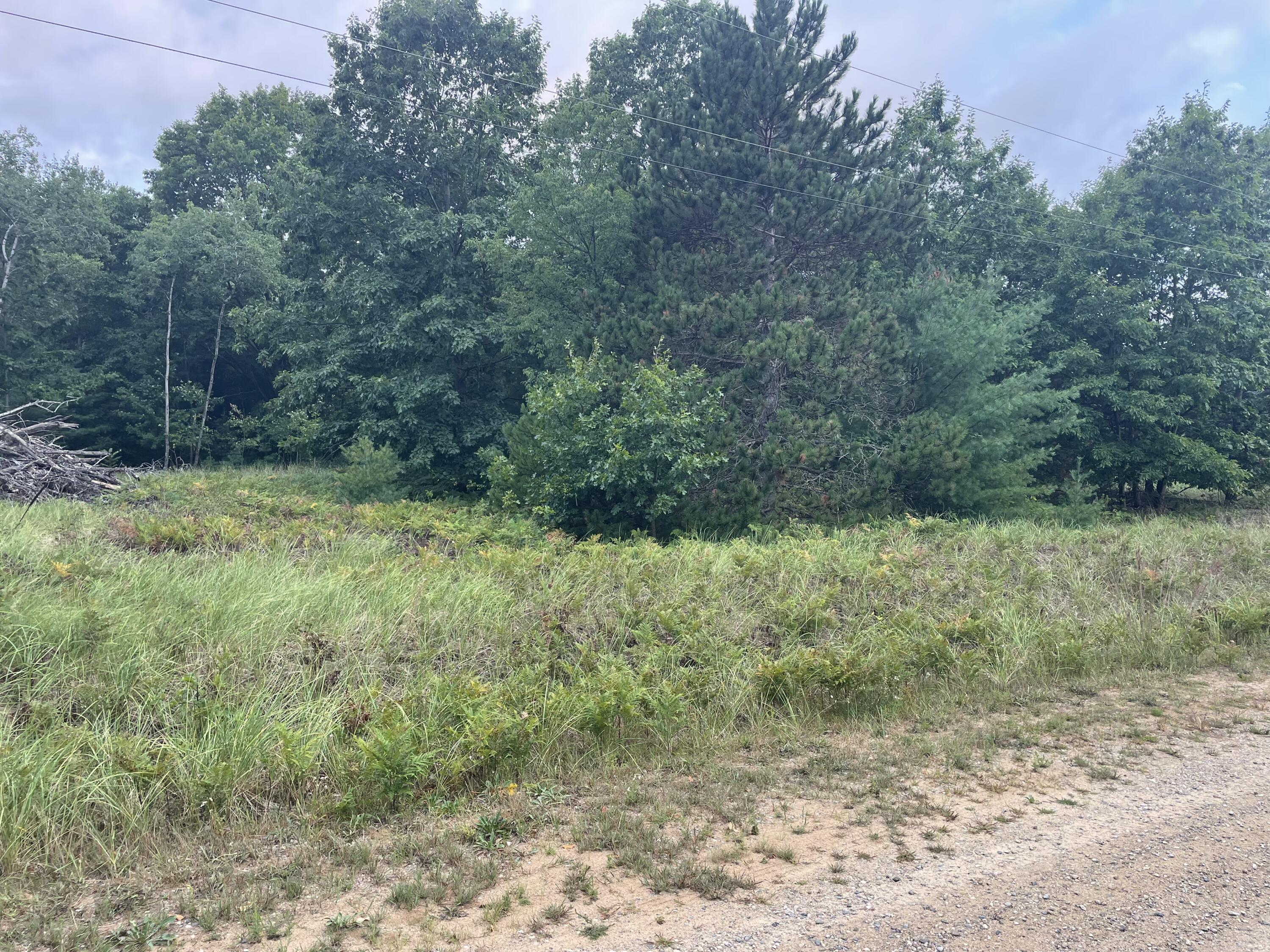 6367 N Dune Grass Trail Property Photo 3