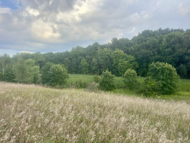 00 Clear Lake Road Property Photo 15