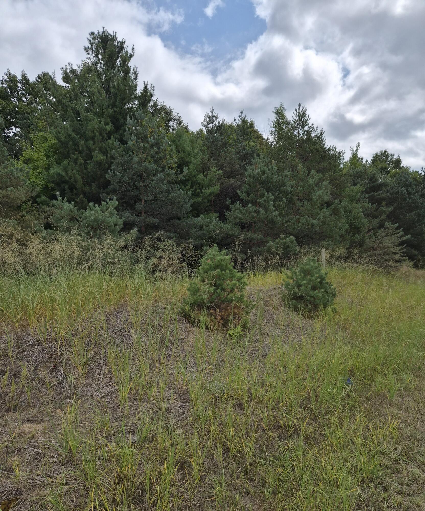 Adamson Lake Road Property Photo 2