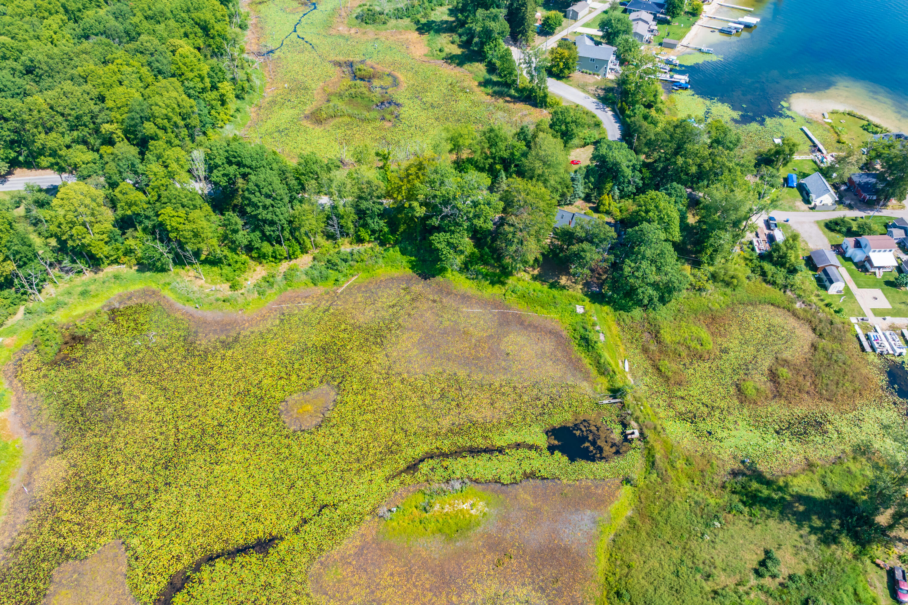 12405 Oak Ridge Road Property Photo 42