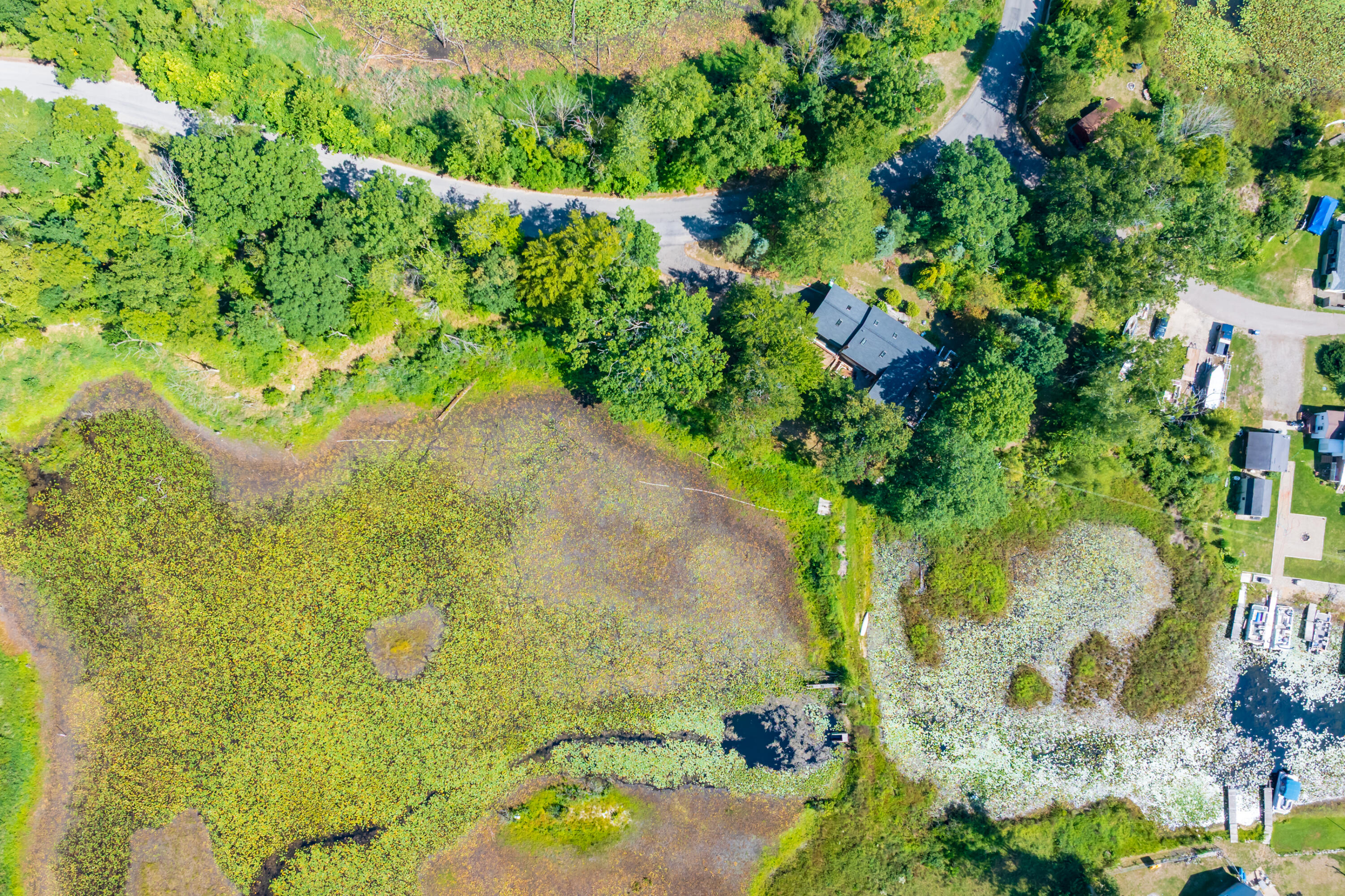 12405 Oak Ridge Road Property Photo 46