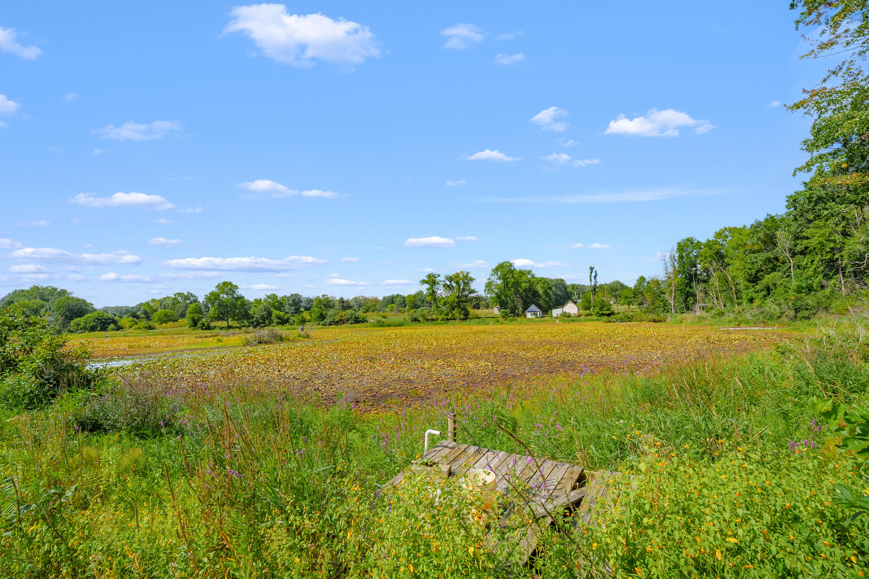 12405 Oak Ridge Road Property Photo 57