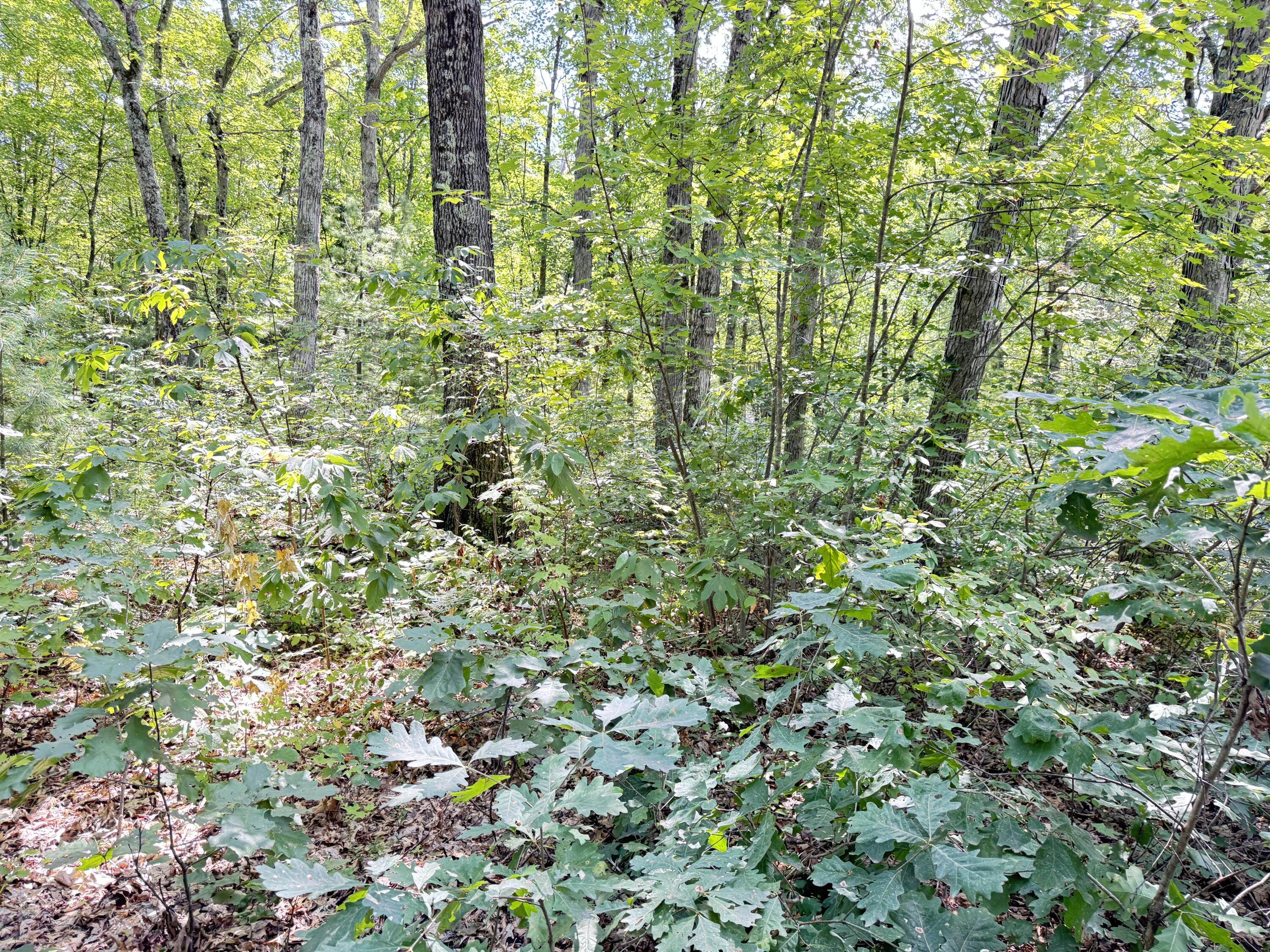 8th Avenue Property Photo 1
