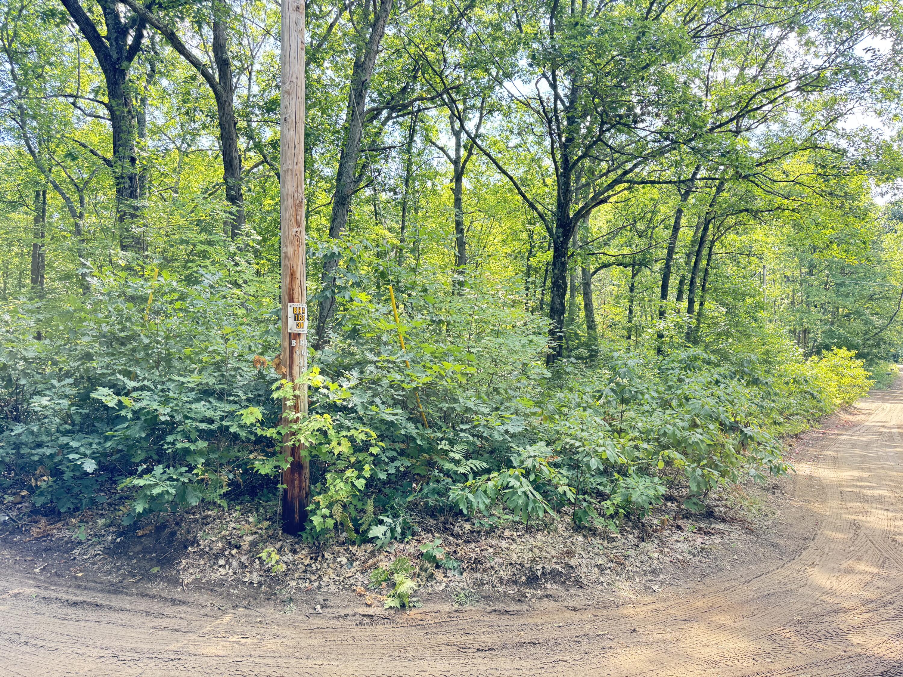 8th Avenue Property Photo 2