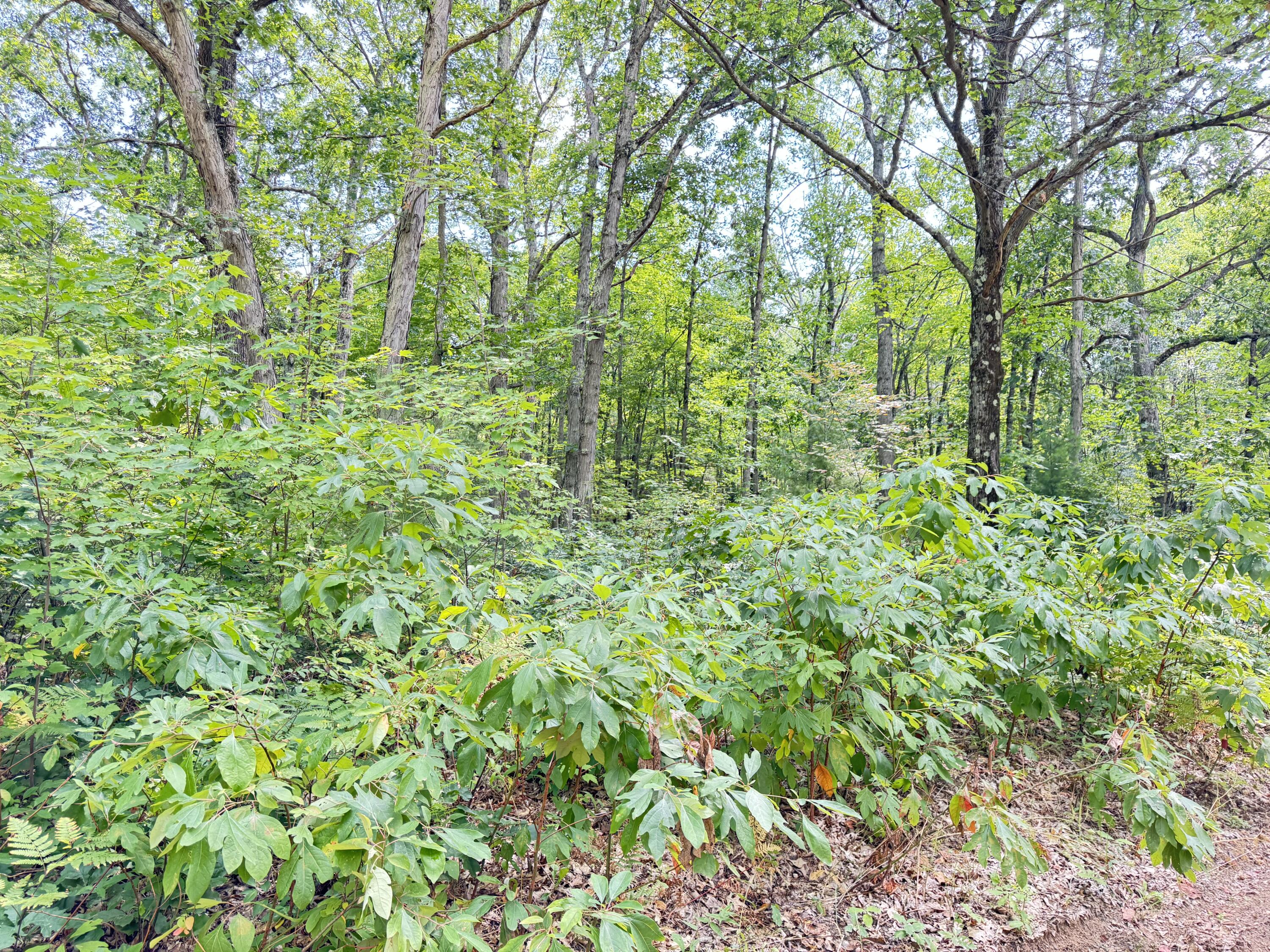 8th Avenue Property Photo 3