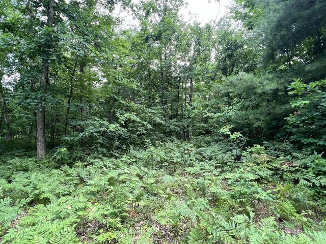 10381 Woodland Lane Property Photo 2