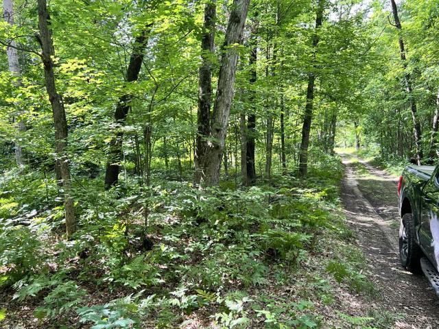10381 Woodland Lane Property Photo 6