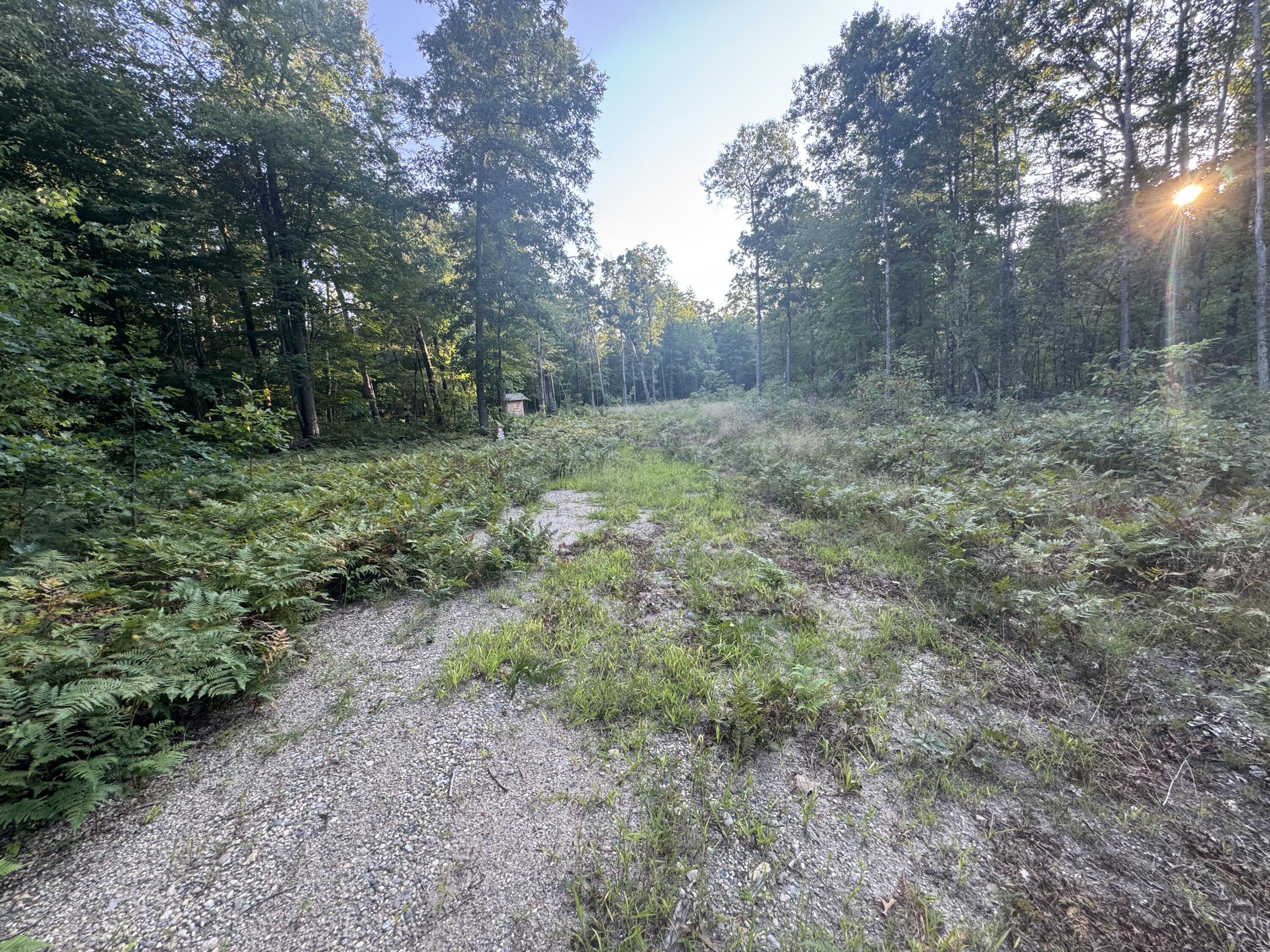 10381 Woodland Lane Property Photo 12