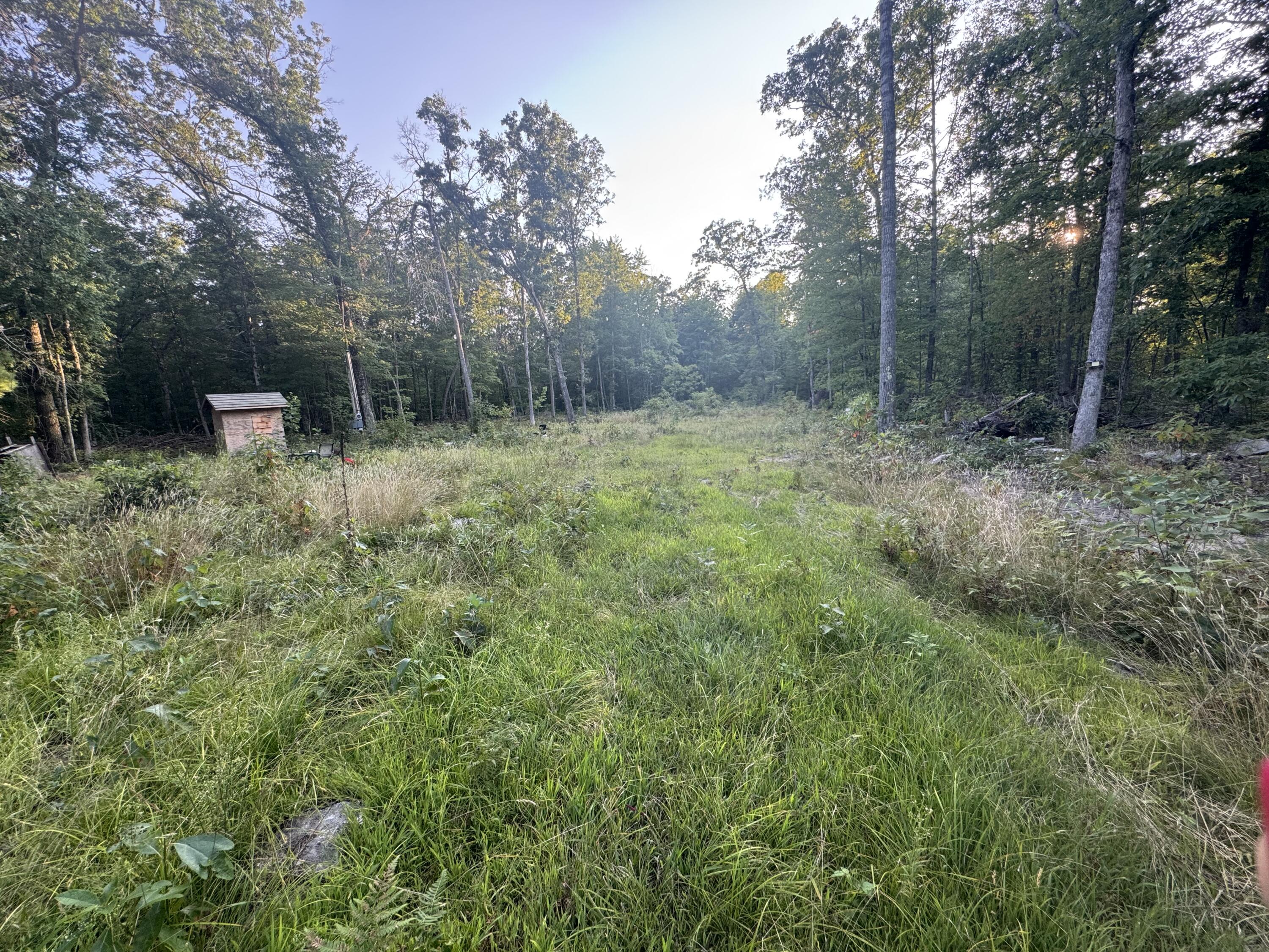 10381 Woodland Lane Property Photo 14