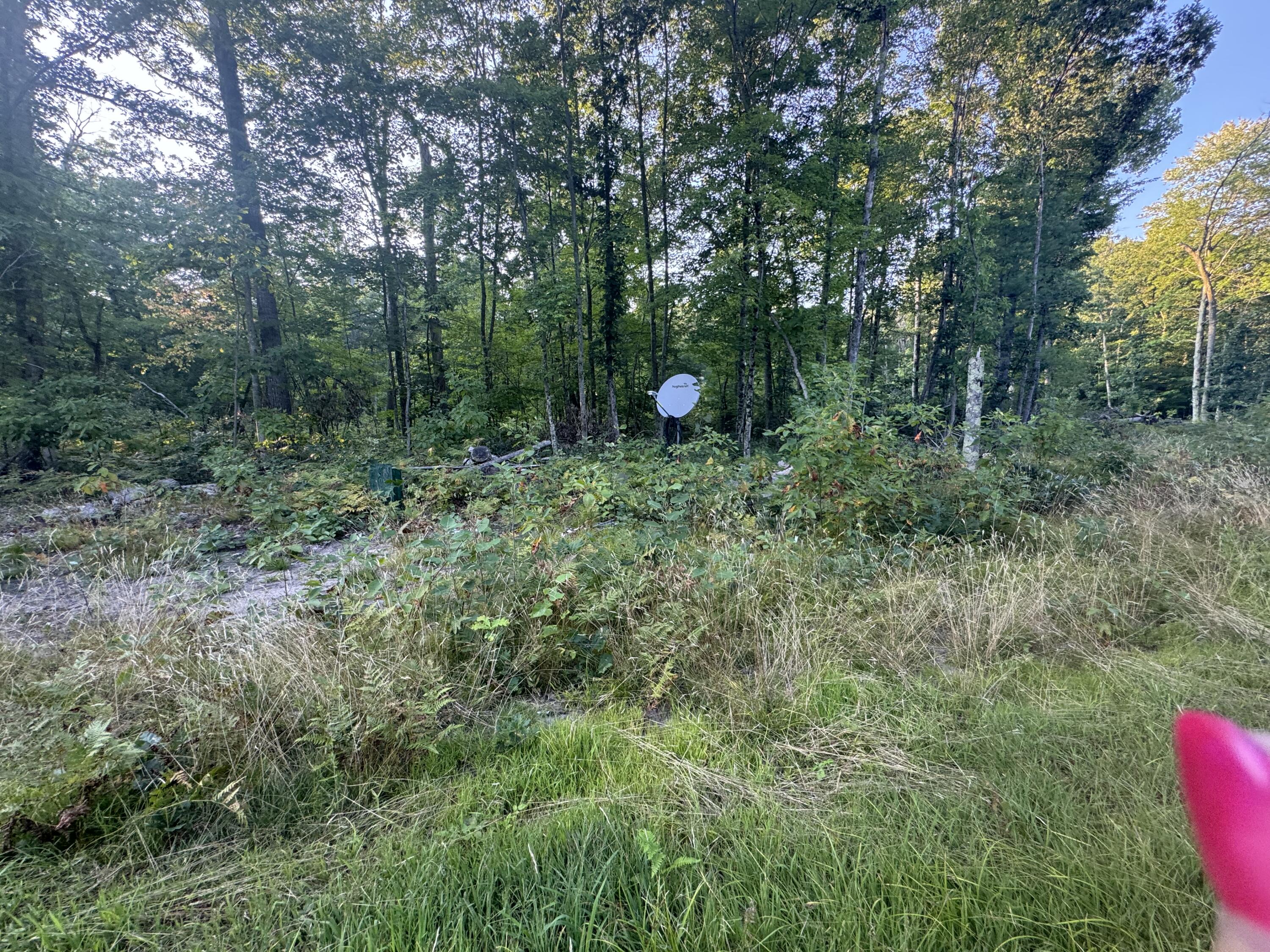 10381 Woodland Lane Property Photo 15