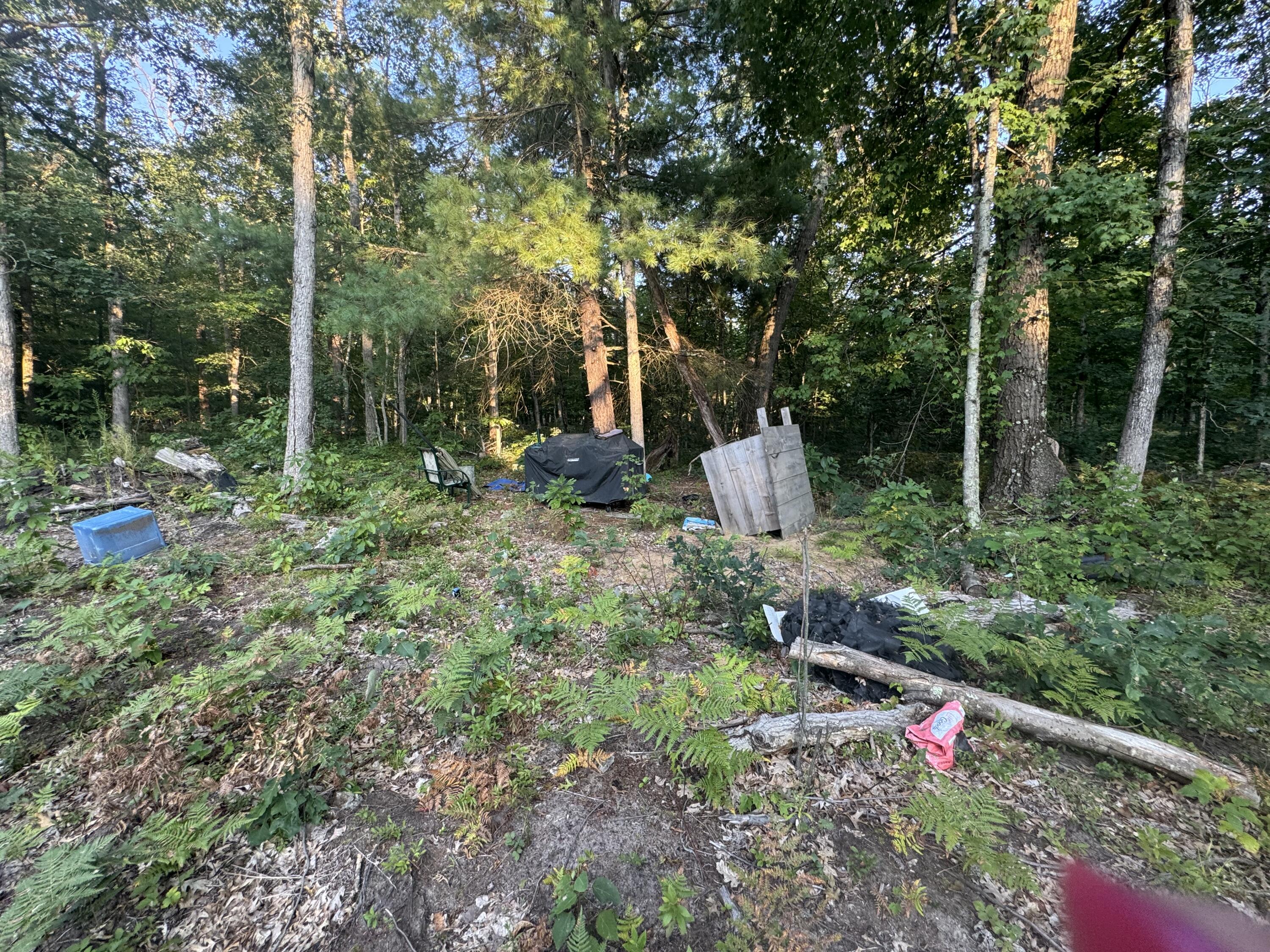 10381 Woodland Lane Property Photo 18
