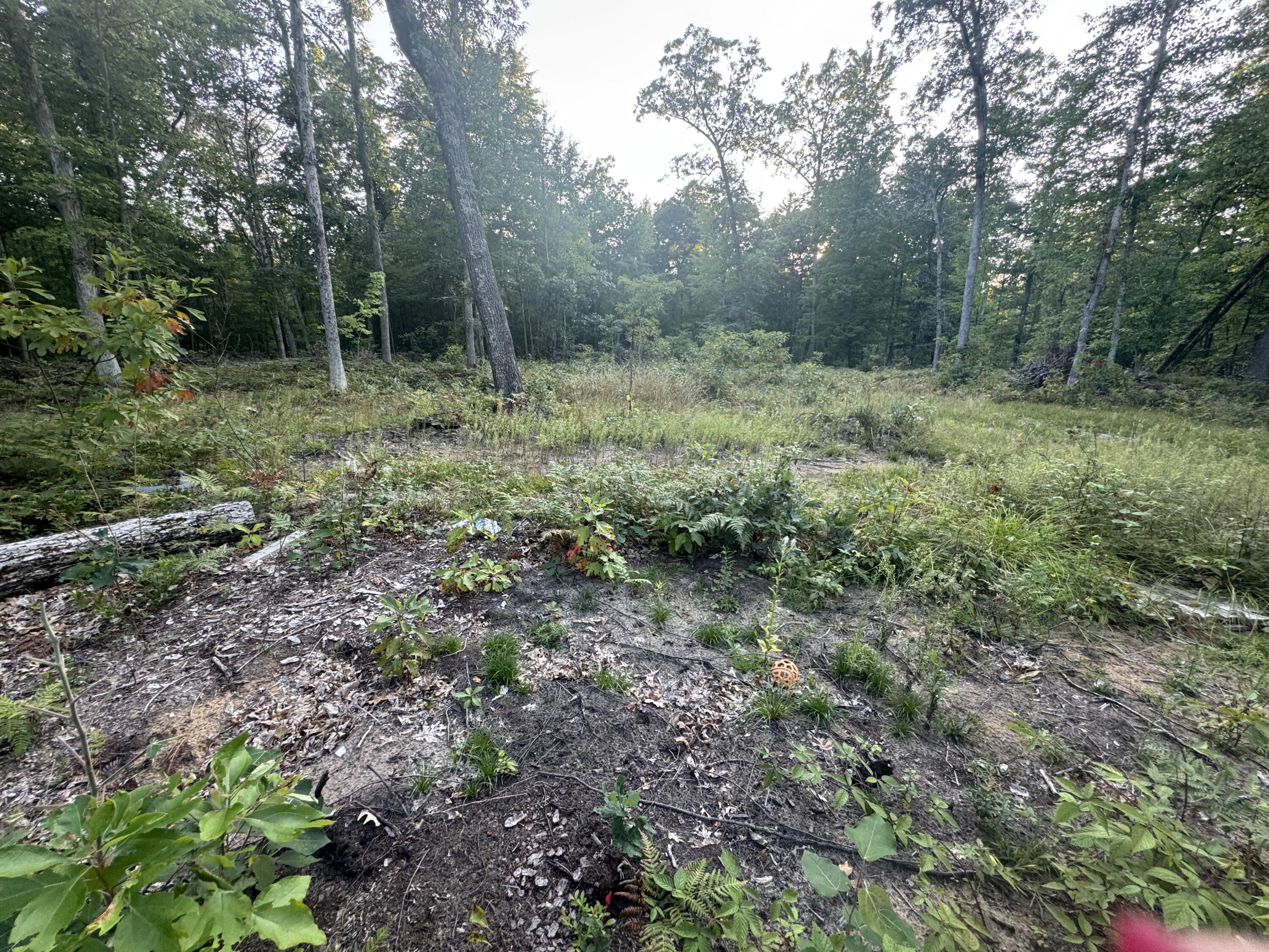 10381 Woodland Lane Property Photo 22