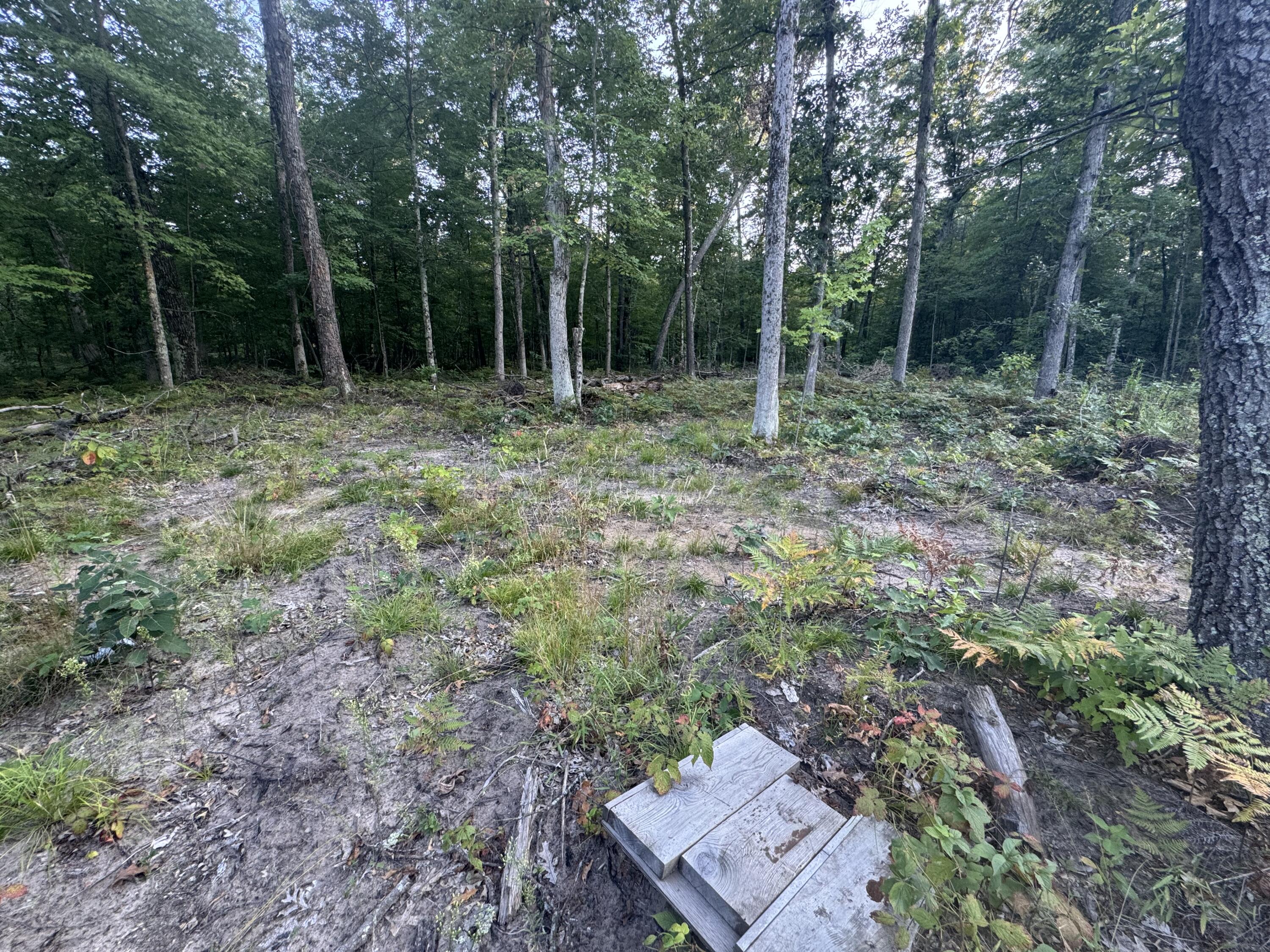 10381 Woodland Lane Property Photo 23