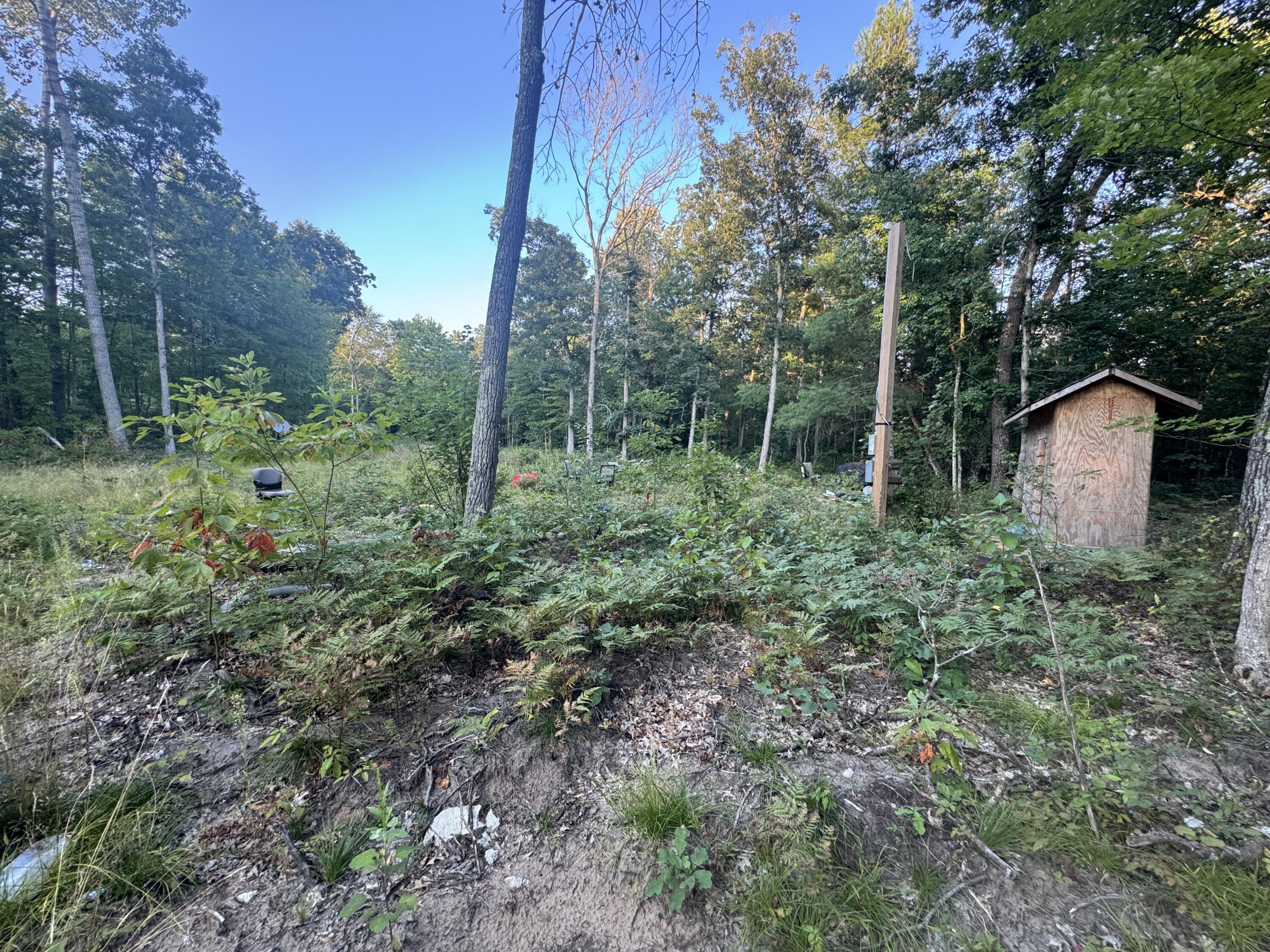 10381 Woodland Lane Property Photo 24