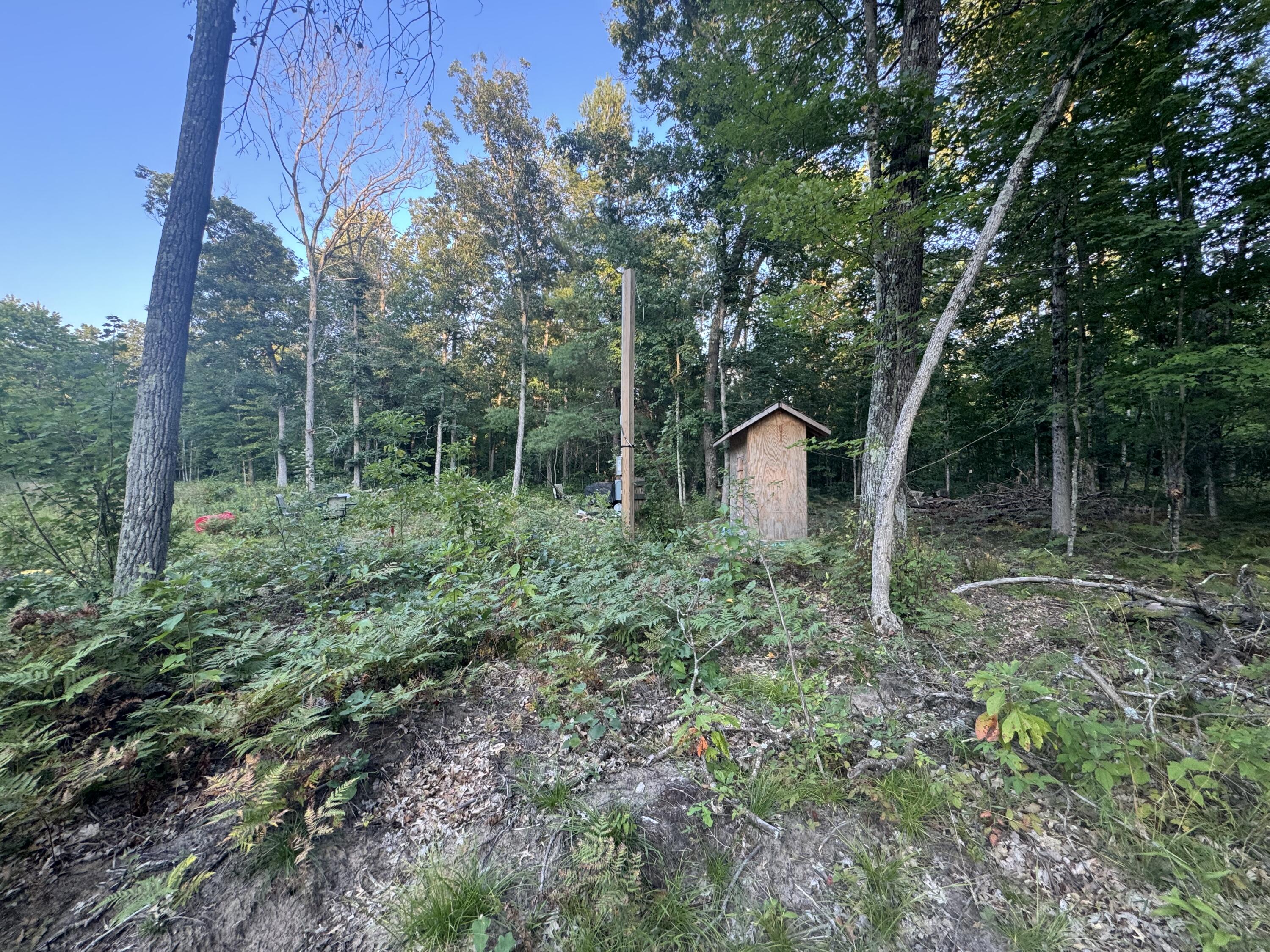 10381 Woodland Lane Property Photo 25