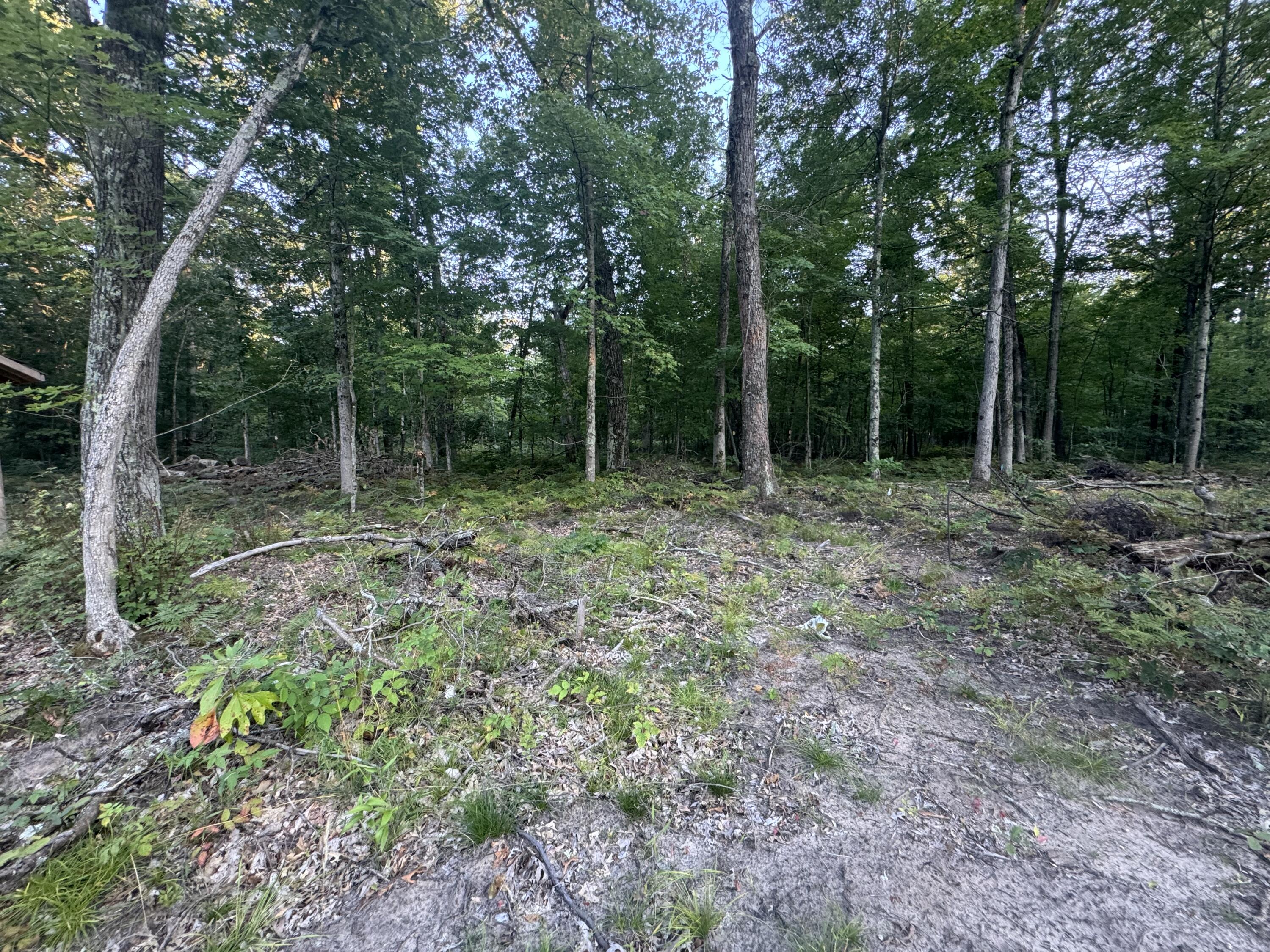 10381 Woodland Lane Property Photo 26