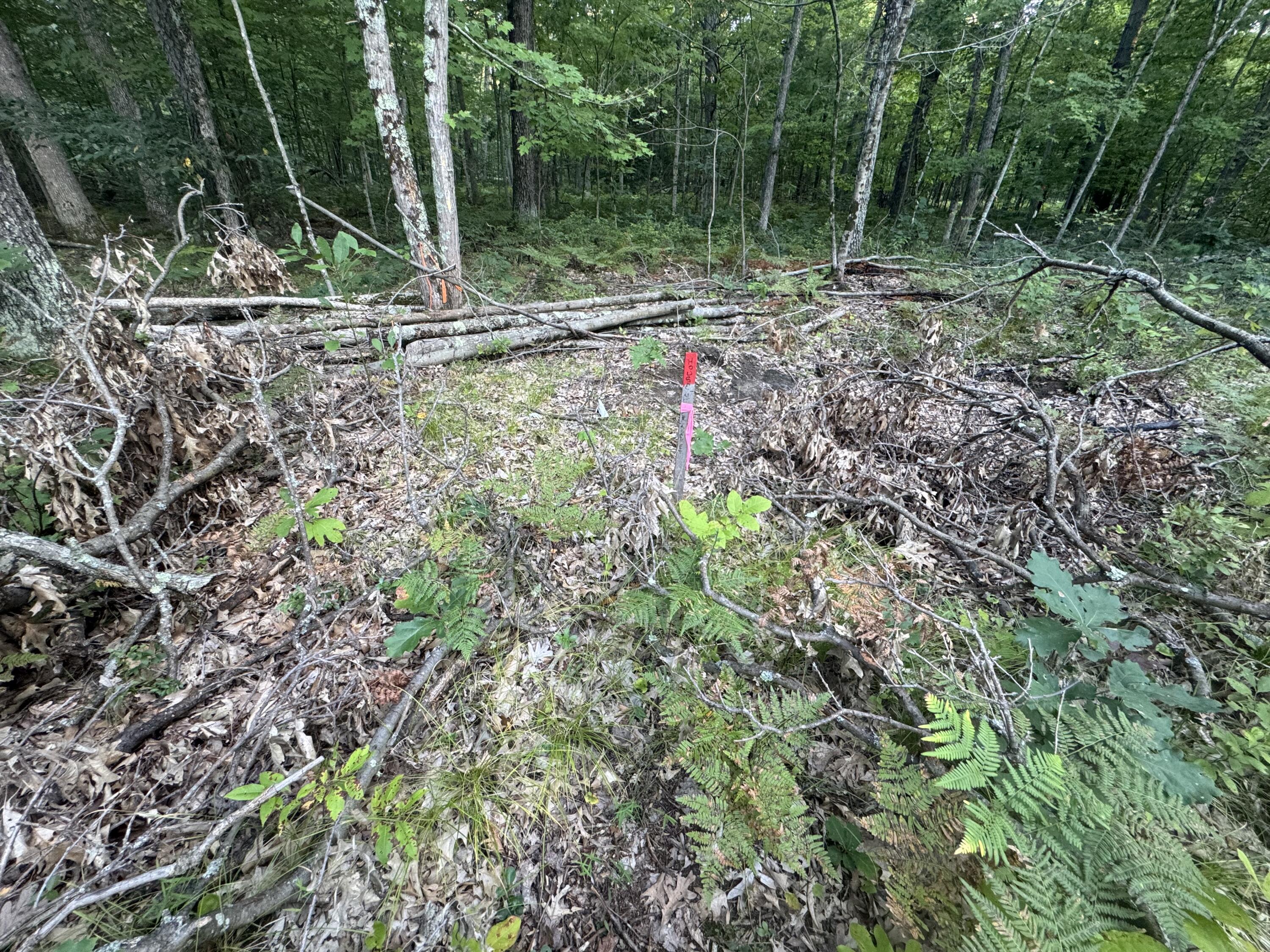 10381 Woodland Lane Property Photo 27