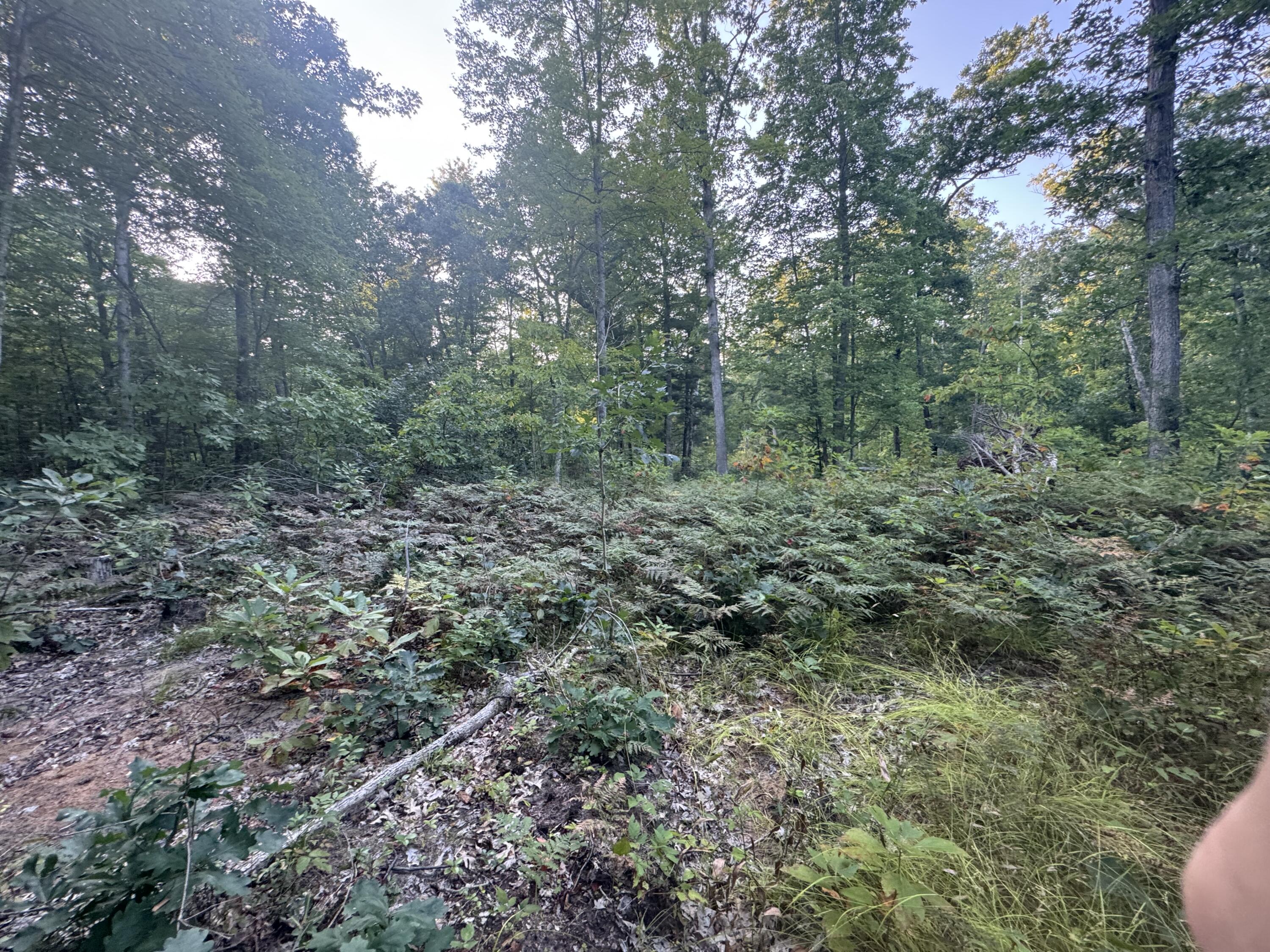 10381 Woodland Lane Property Photo 30