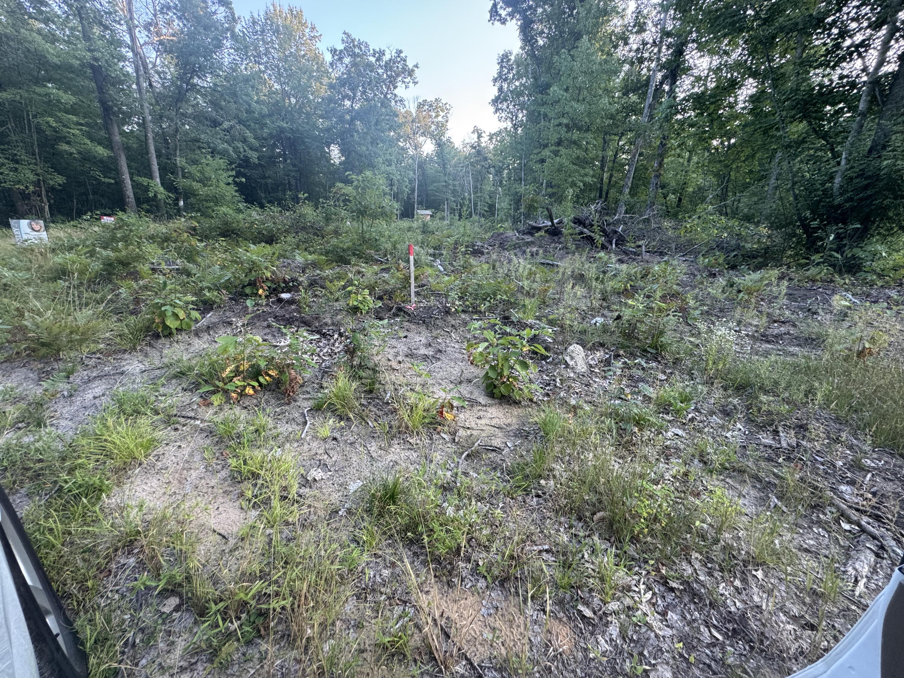 10381 Woodland Lane Property Photo 33