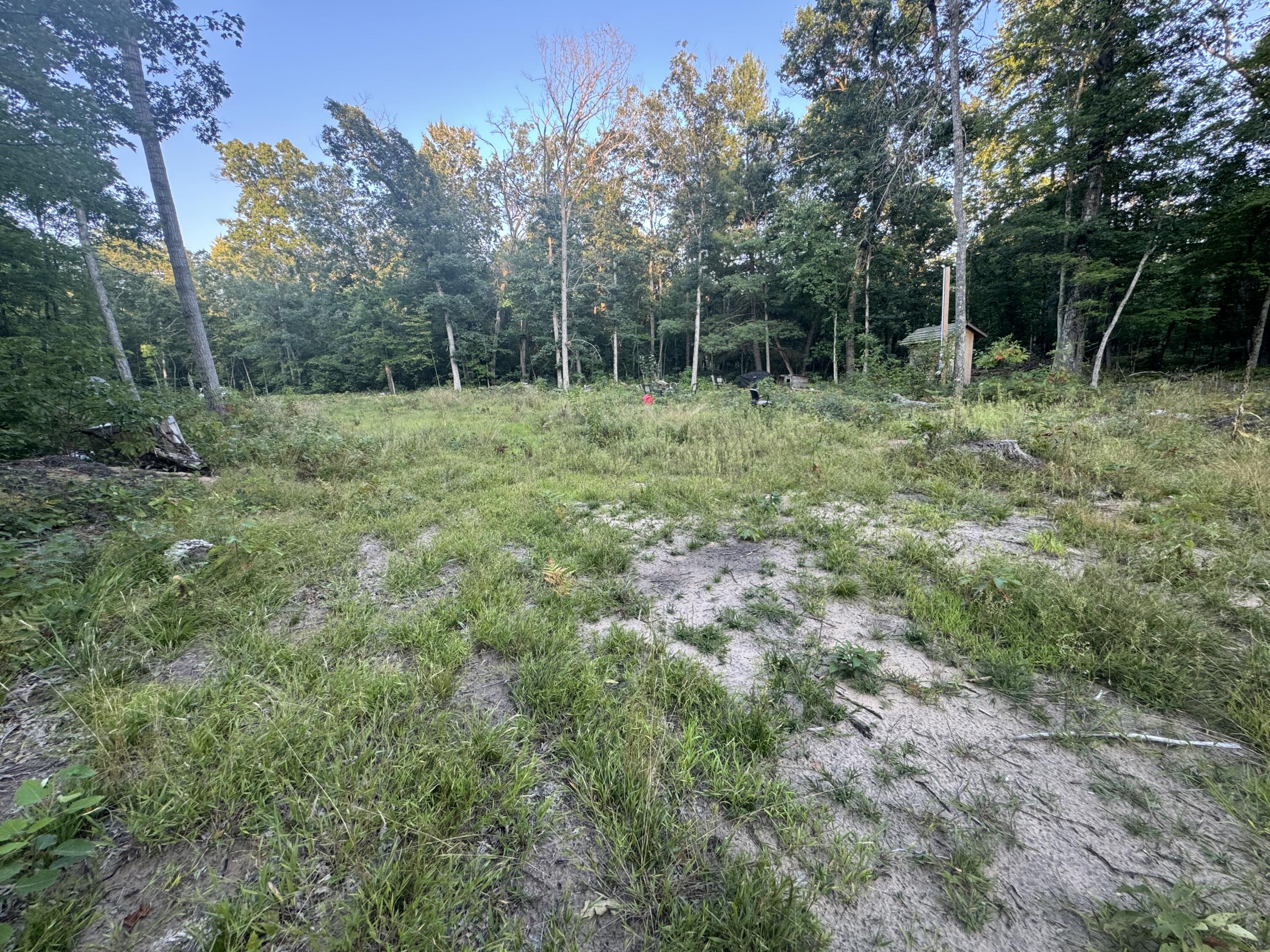 10381 Woodland Lane Property Photo 34