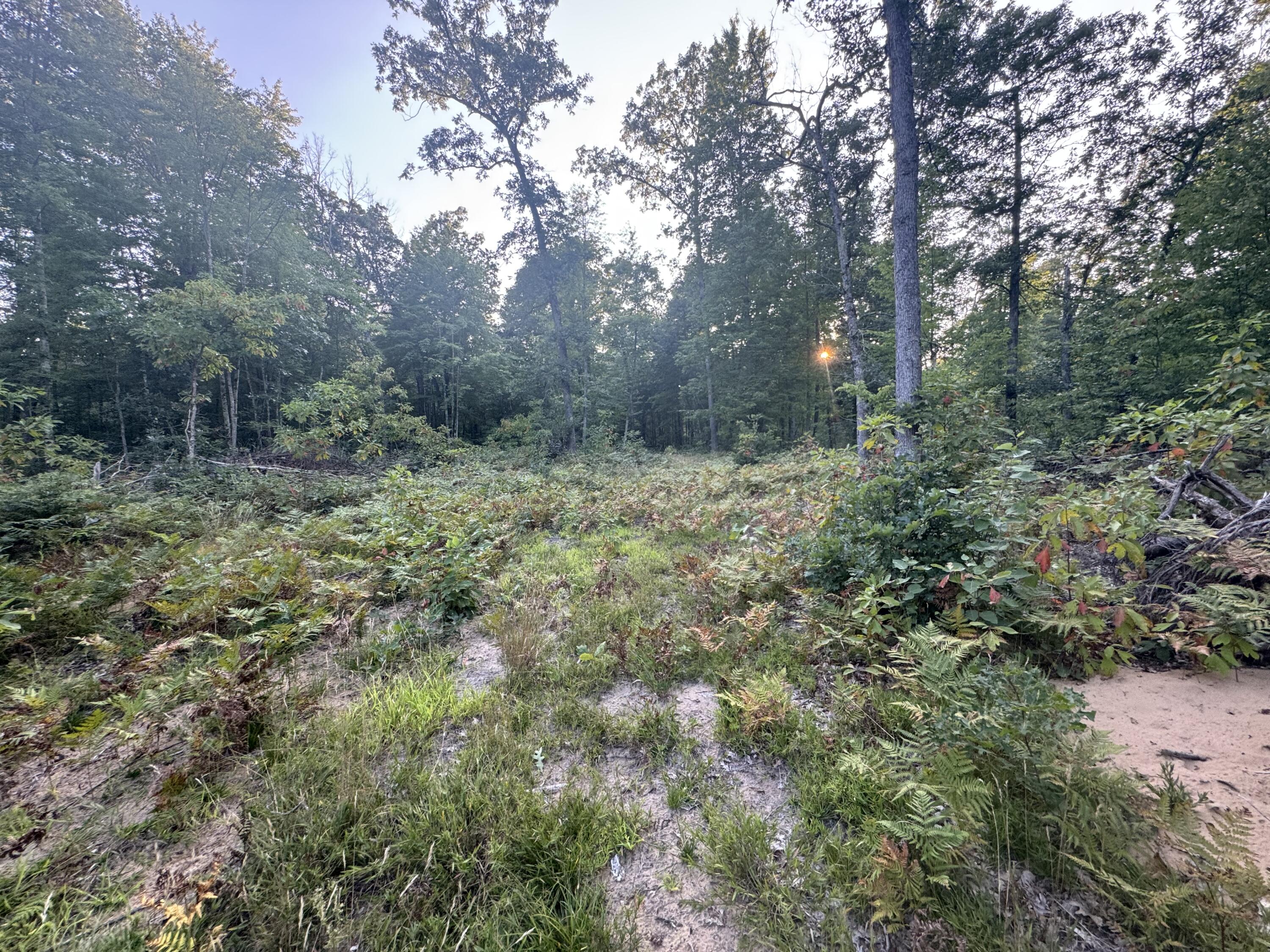 10381 Woodland Lane Property Photo 35