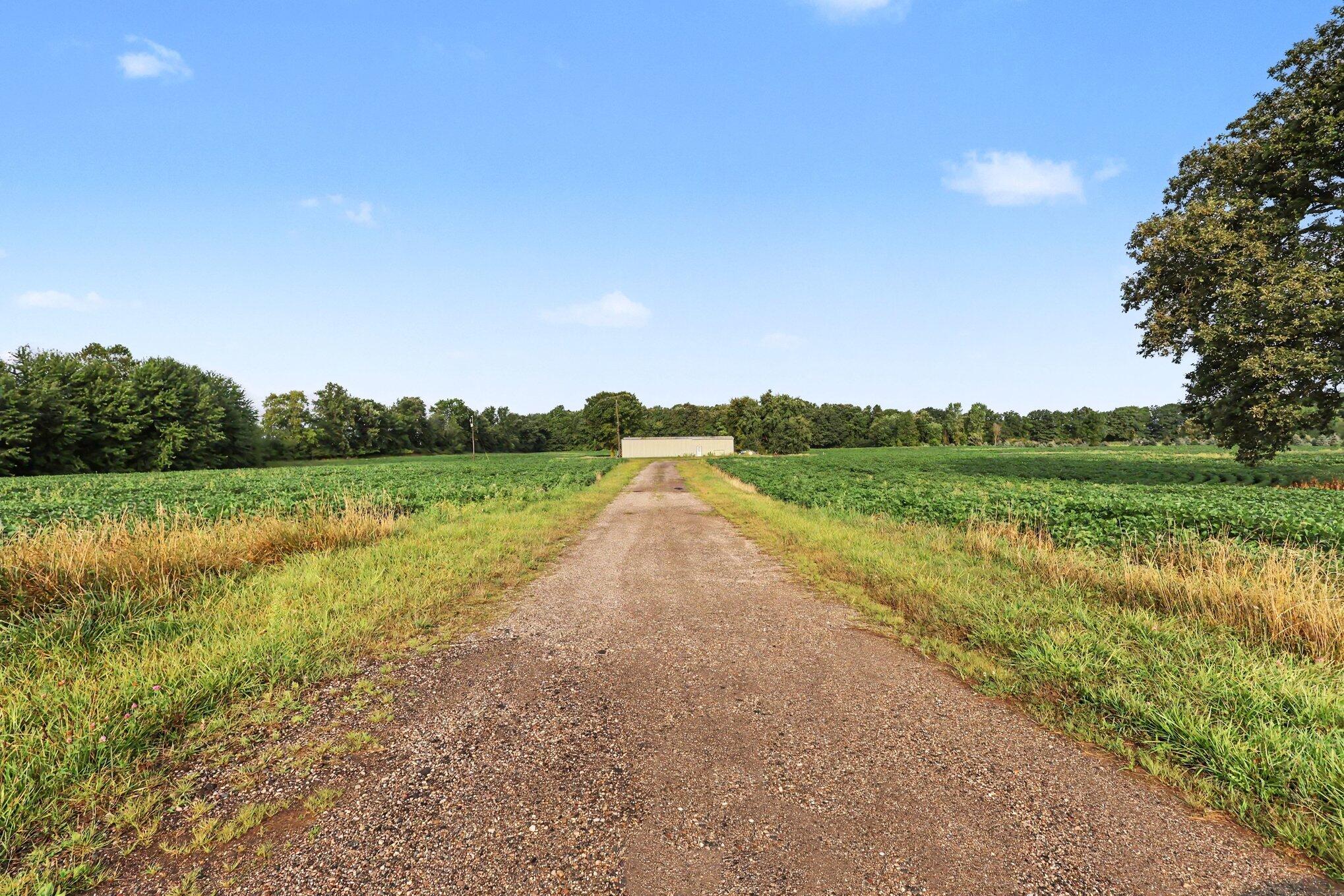 11581 Mulliken Road Property Photo 6