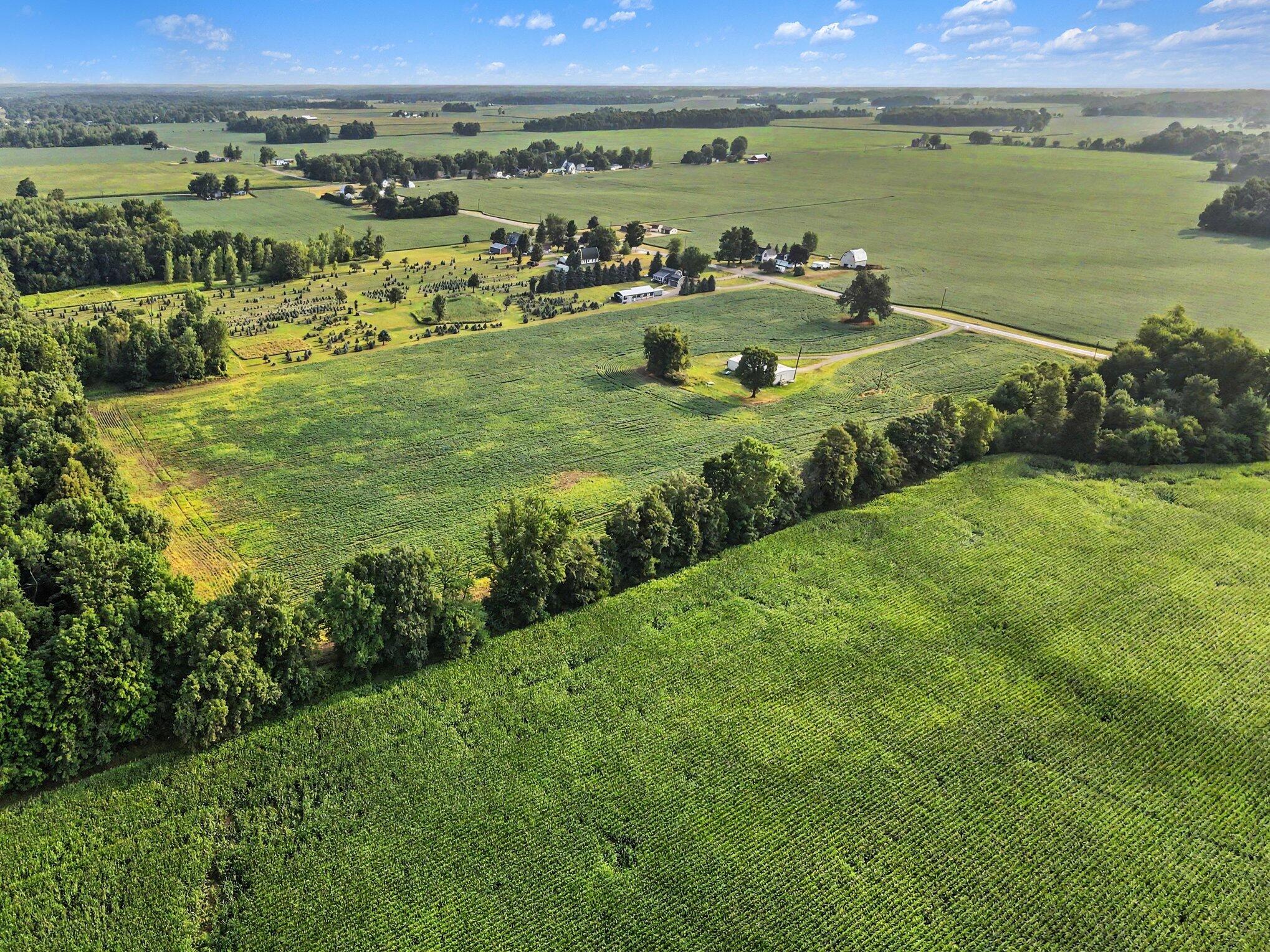 11581 Mulliken Road Property Photo 12