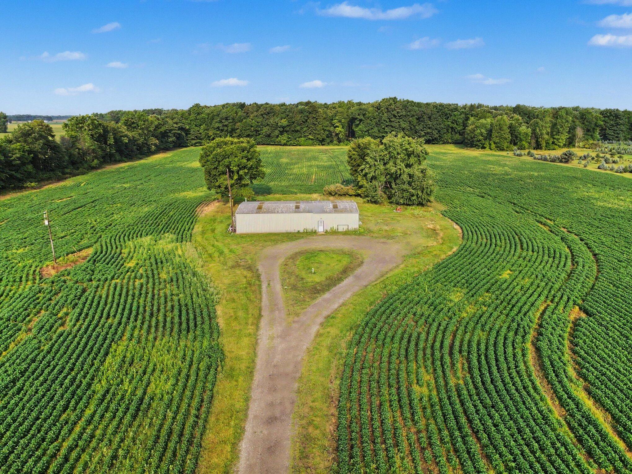 11581 Mulliken Road Property Photo 13