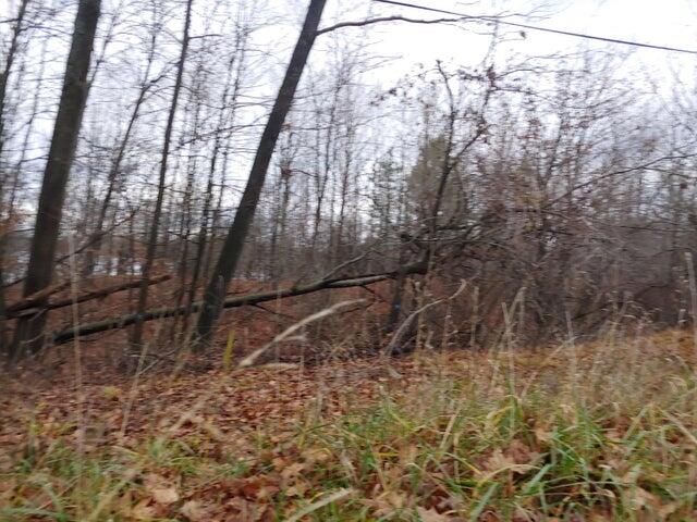 23045 Miramichi Drive Property Photo 10