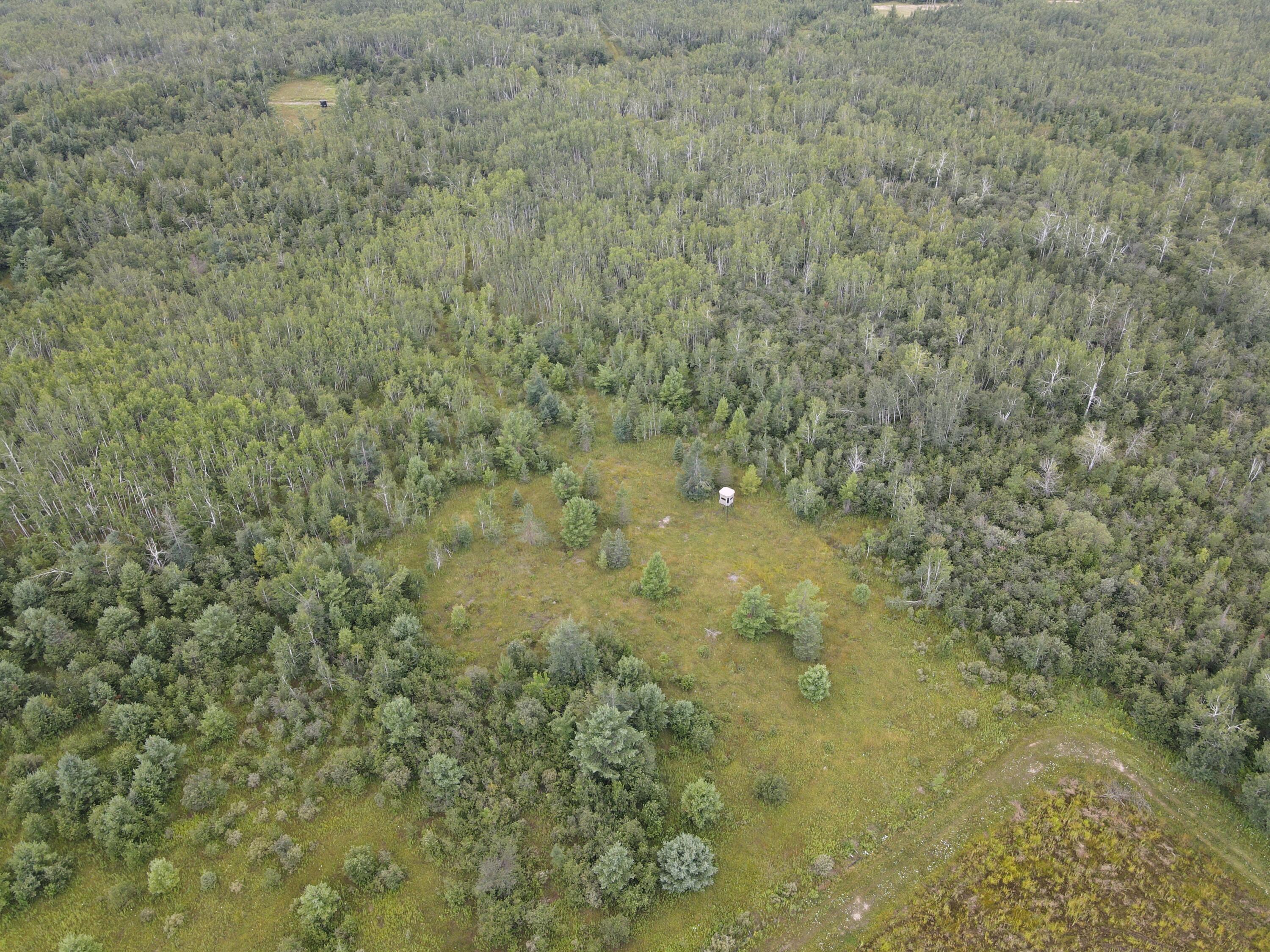 3250 Woiderski Road Property Photo 41