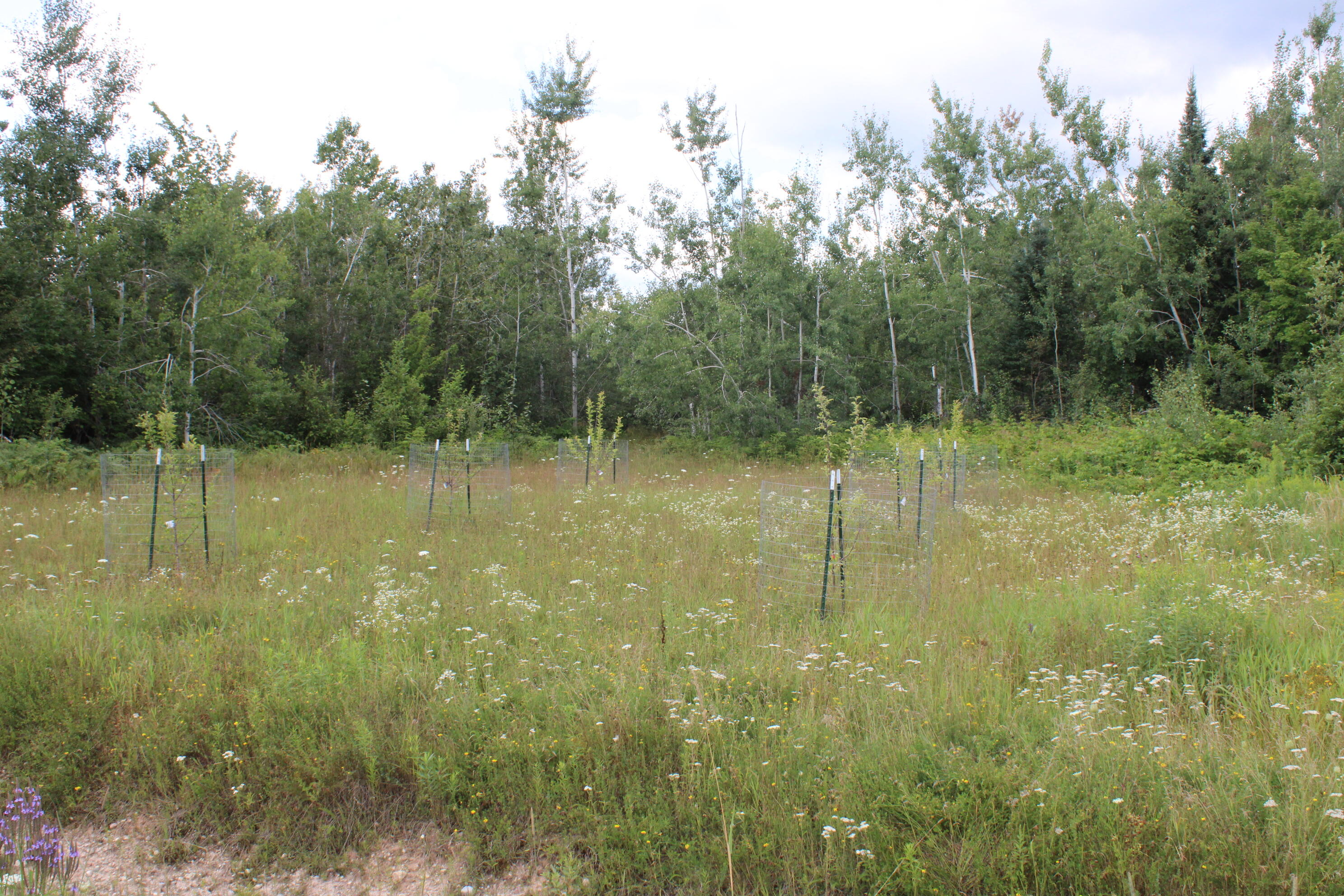 3250 Woiderski Road Property Photo 53