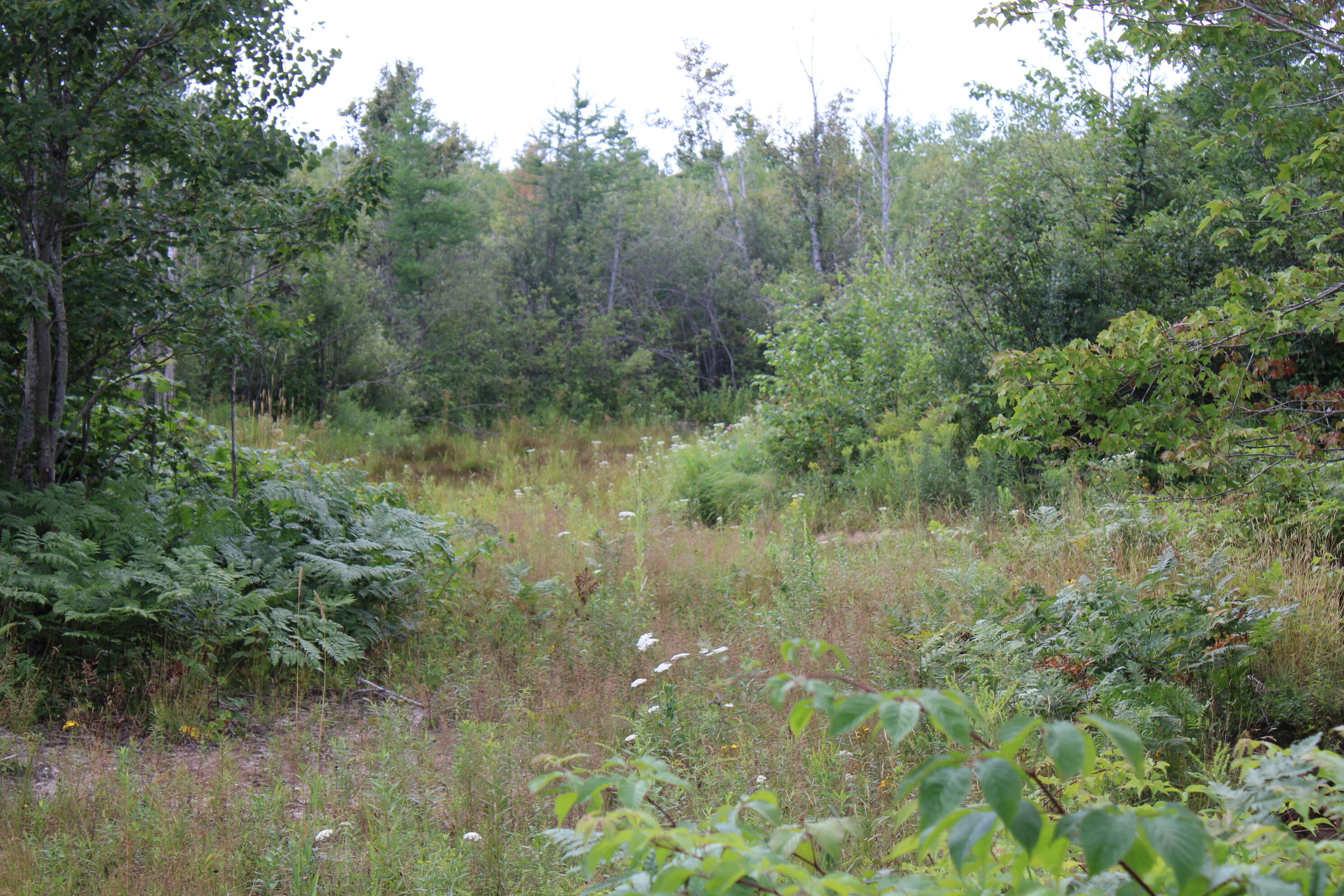 3250 Woiderski Road Property Photo 55