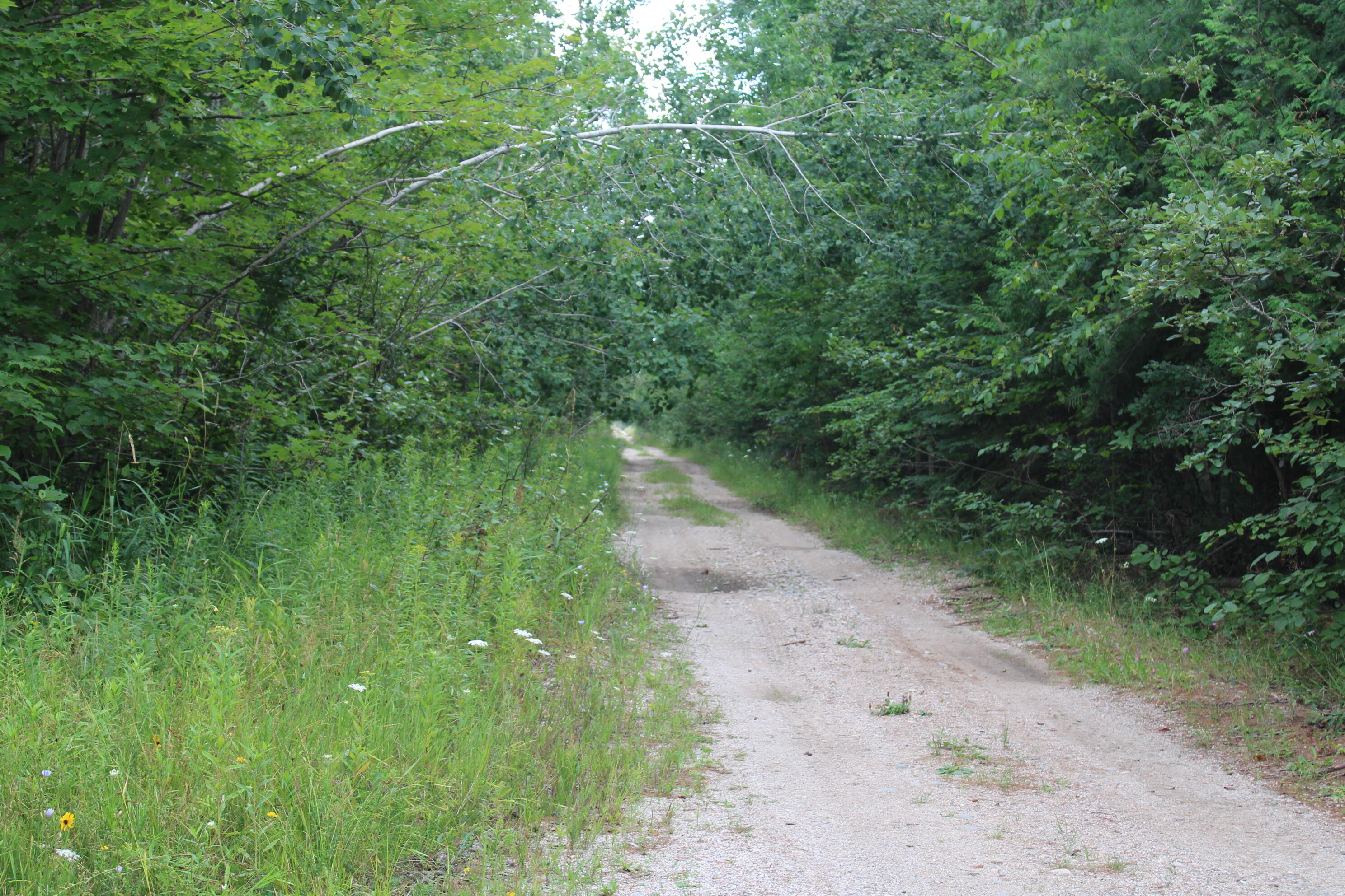 3250 Woiderski Road Property Photo 56