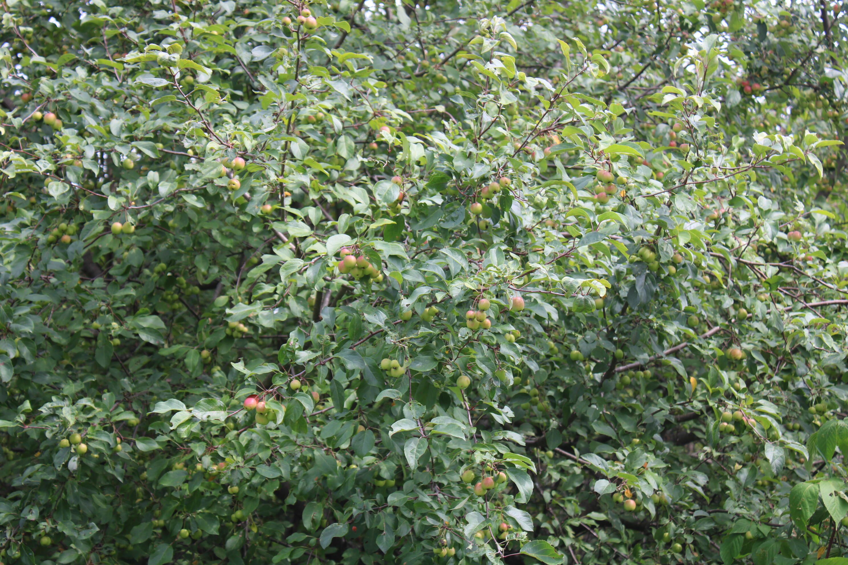 3250 Woiderski Road Property Photo 57