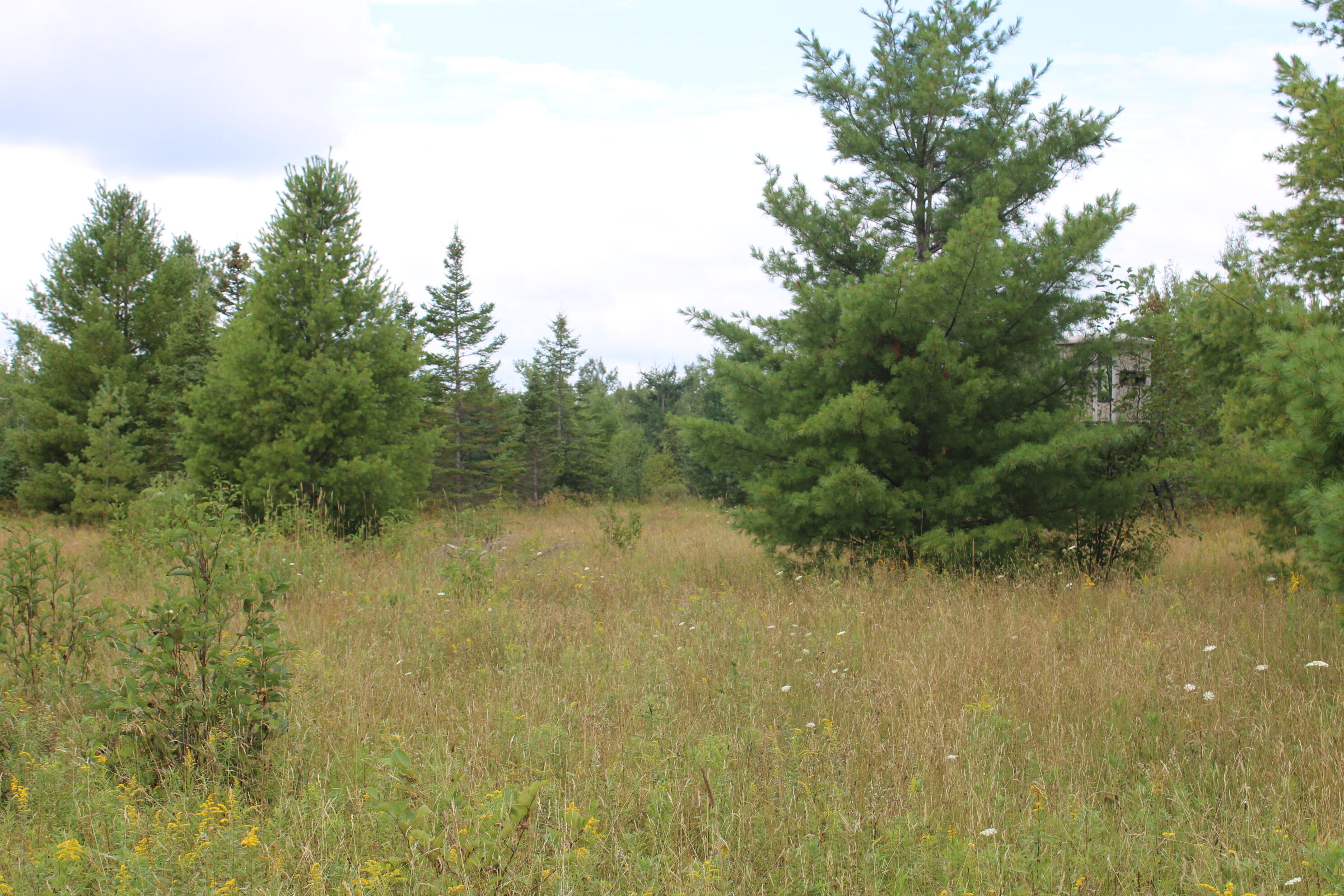 3250 Woiderski Road Property Photo 58