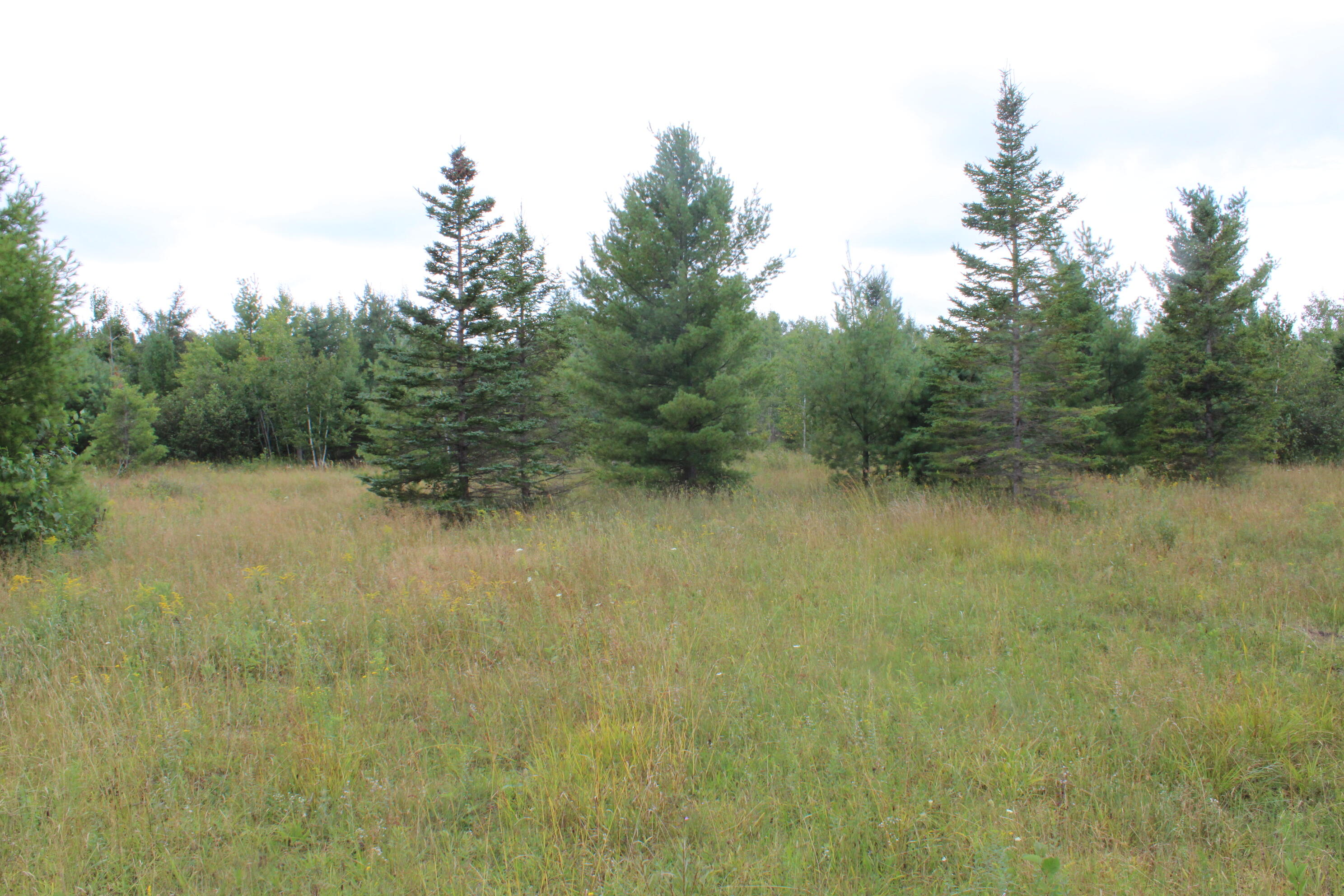 3250 Woiderski Road Property Photo 60