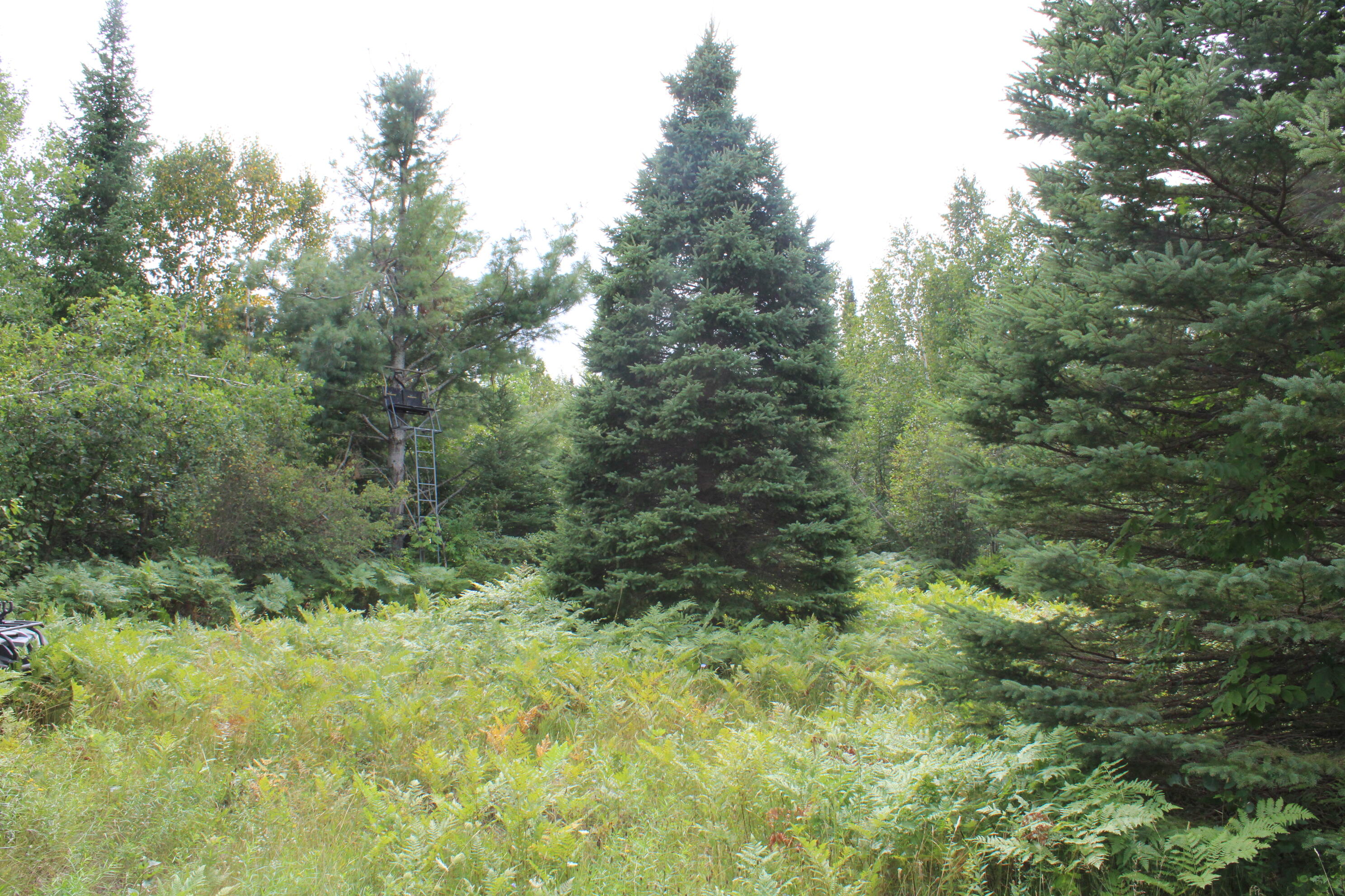 3250 Woiderski Road Property Photo 62