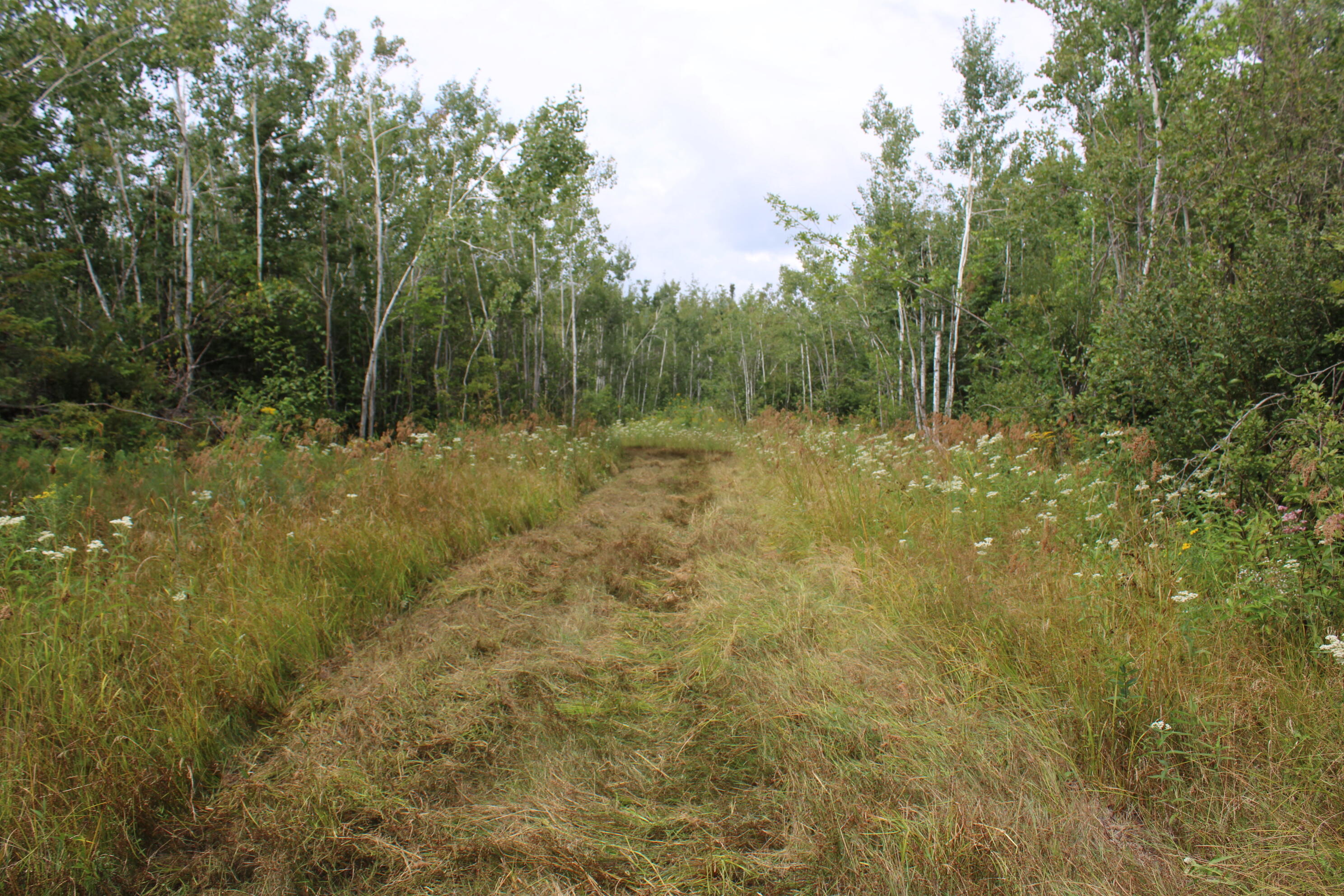 3250 Woiderski Road Property Photo 63
