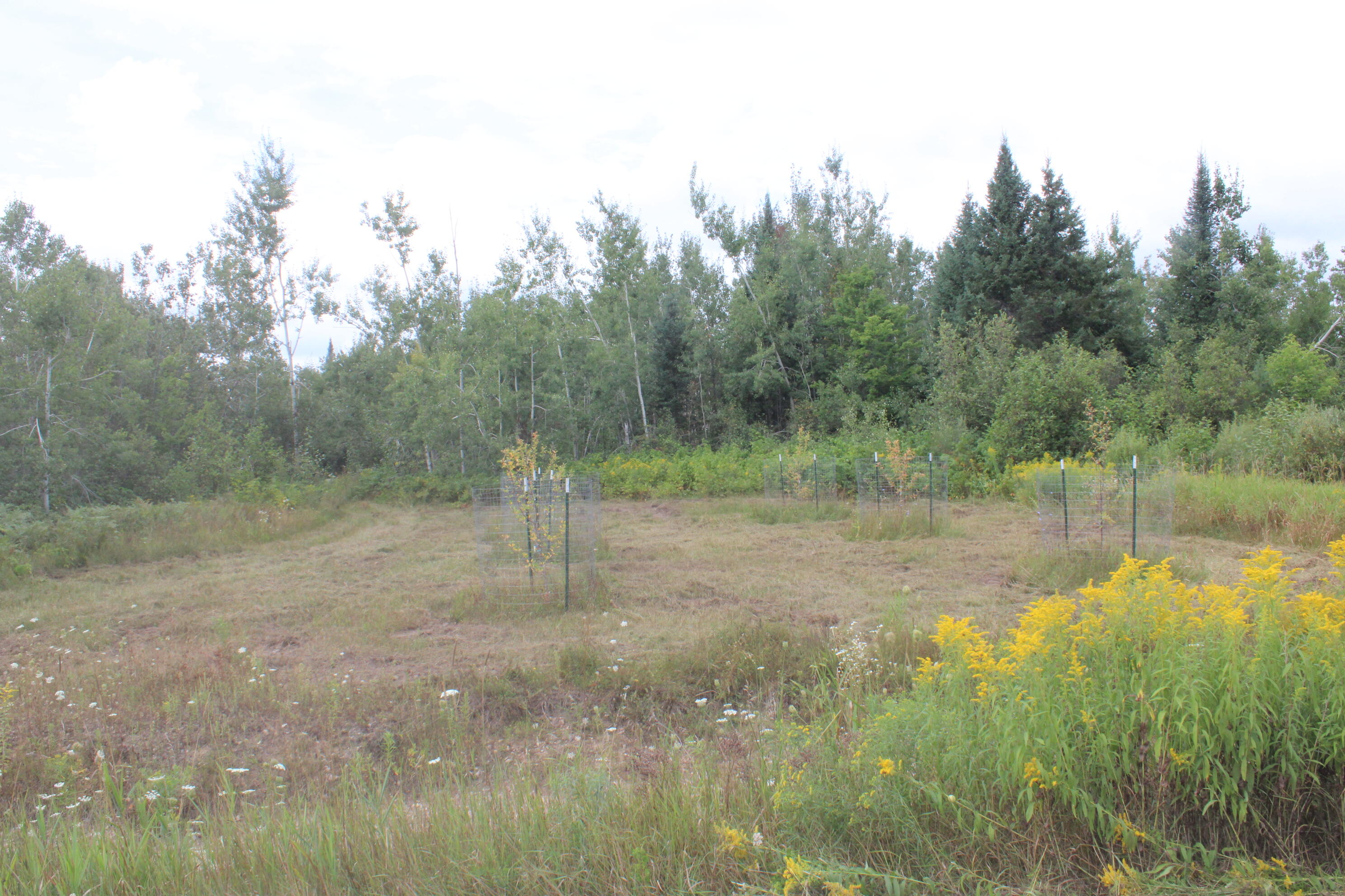 3250 Woiderski Road Property Photo 64