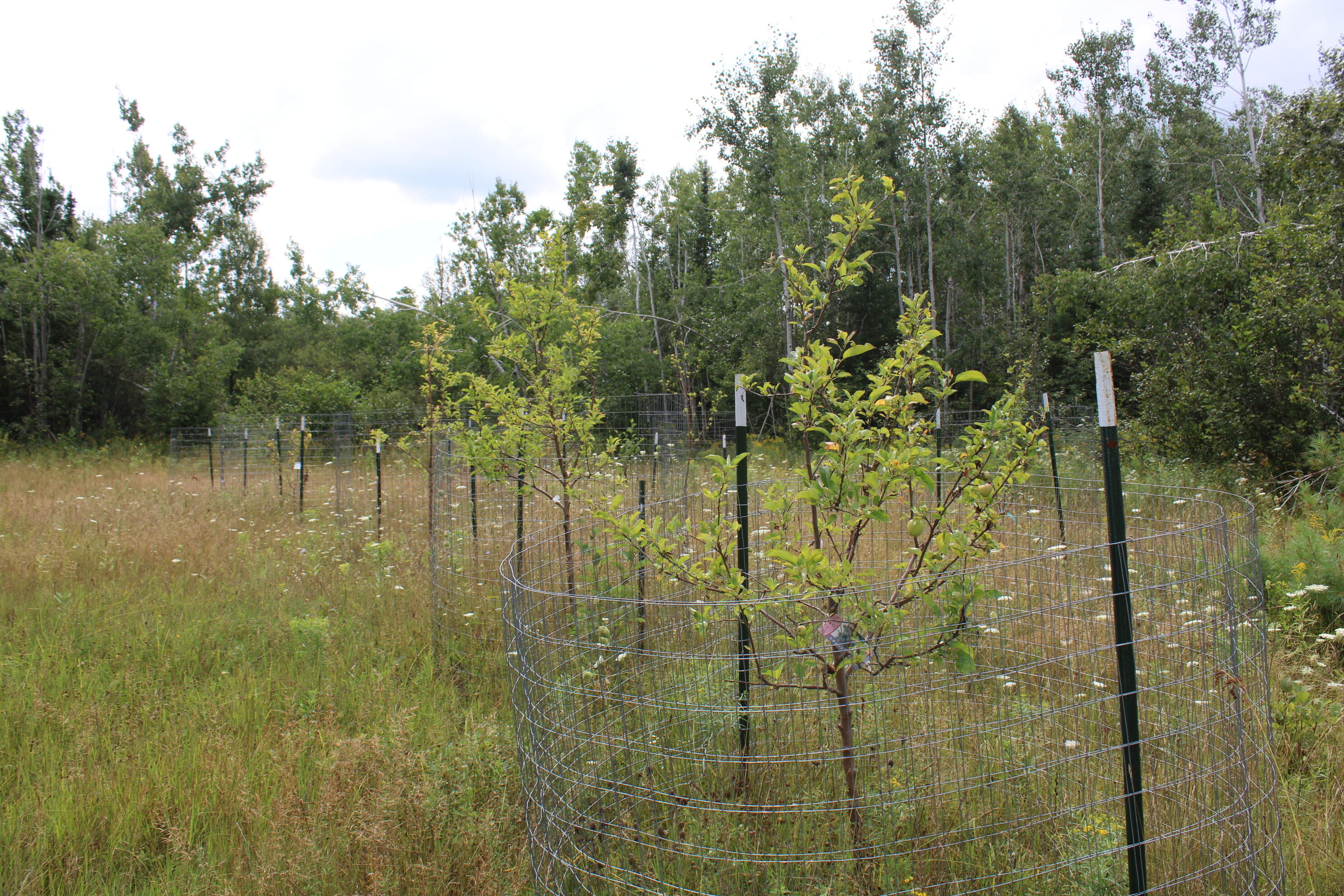 3250 Woiderski Road Property Photo 66