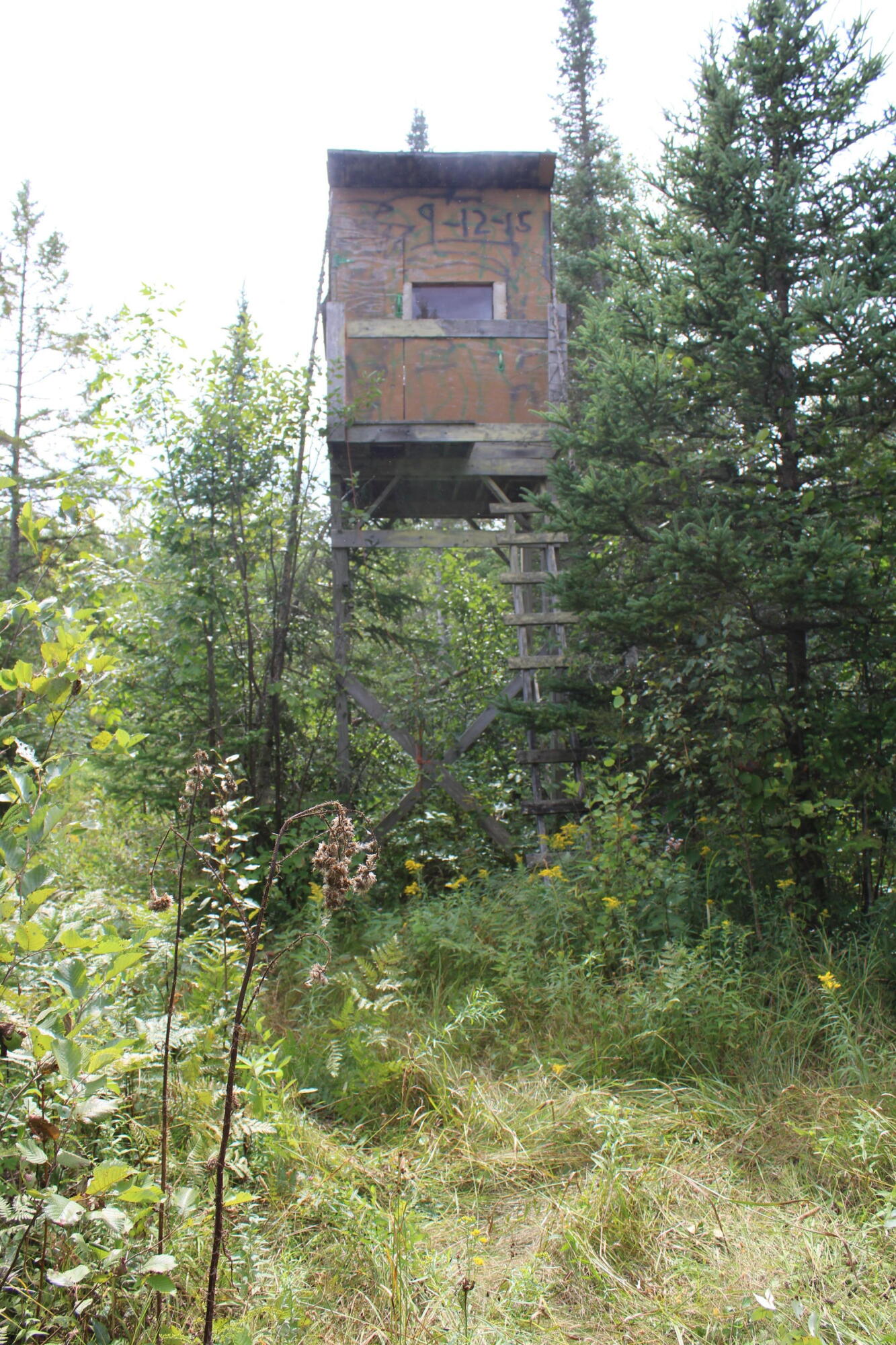 3250 Woiderski Road Property Photo 68