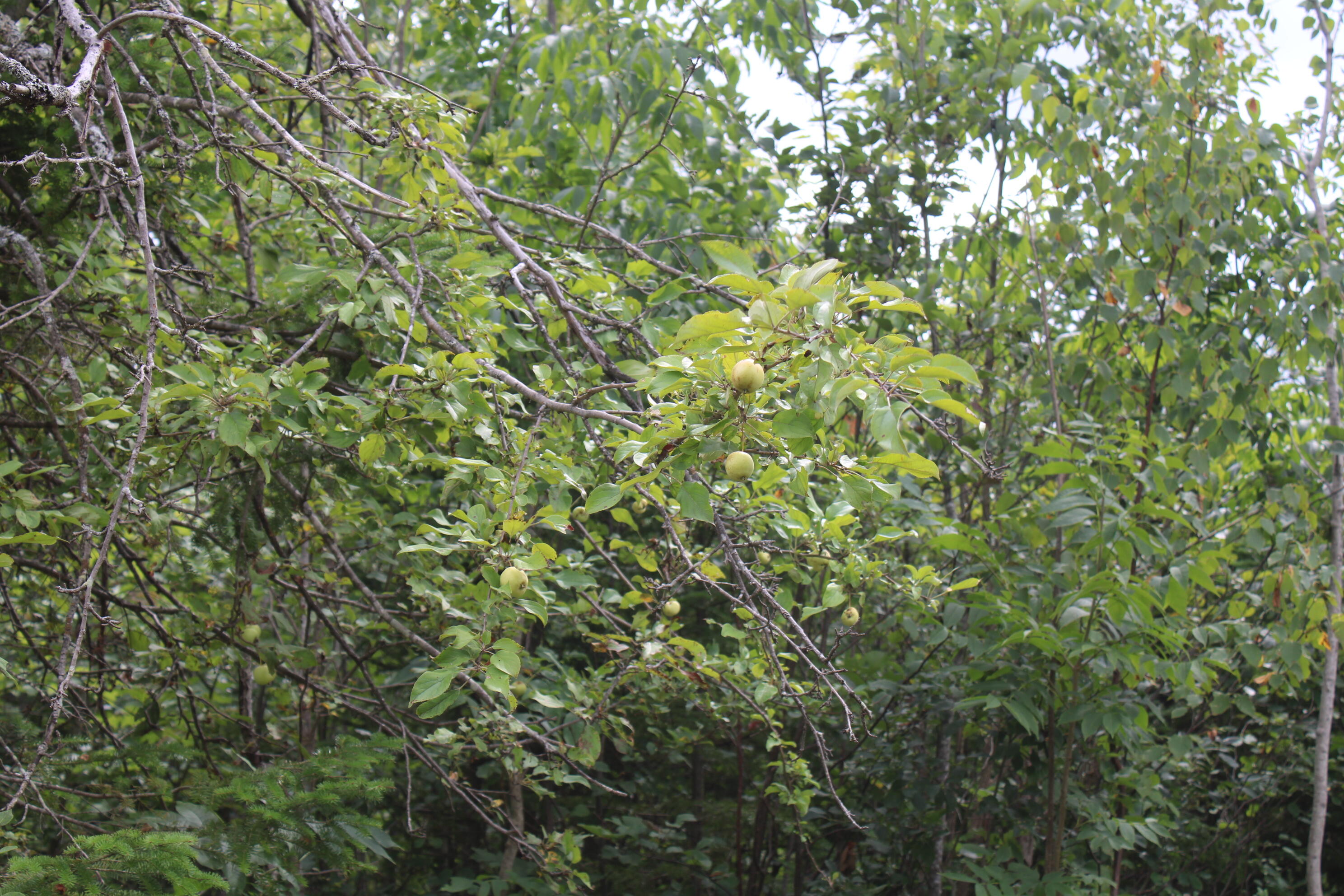 3250 Woiderski Road Property Photo 70