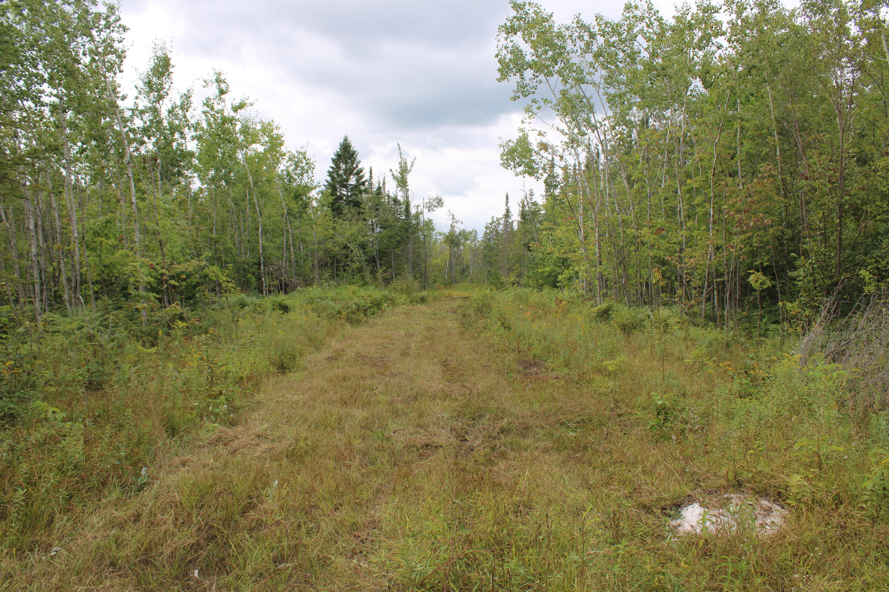 3250 Woiderski Road Property Photo 71