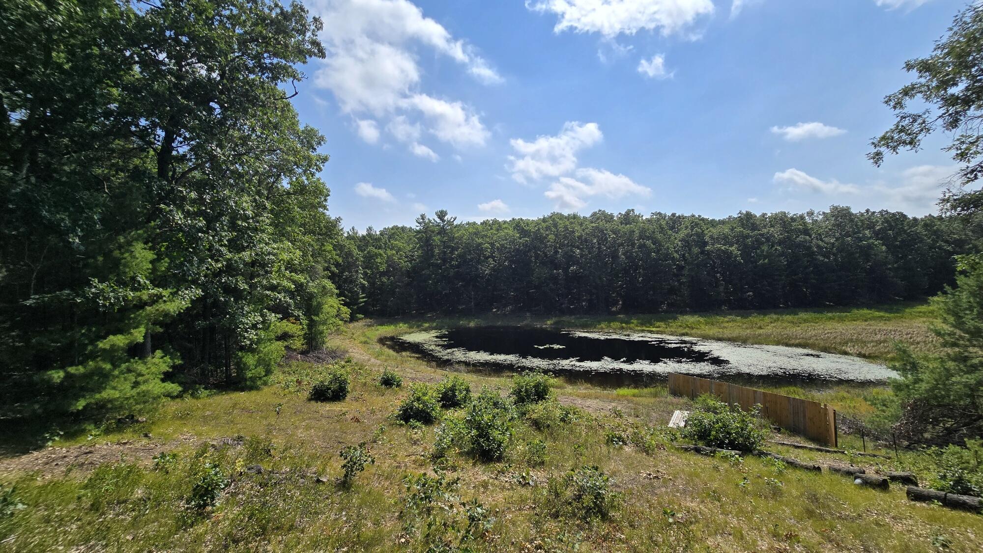 7616 Automobile Road Property Photo 61