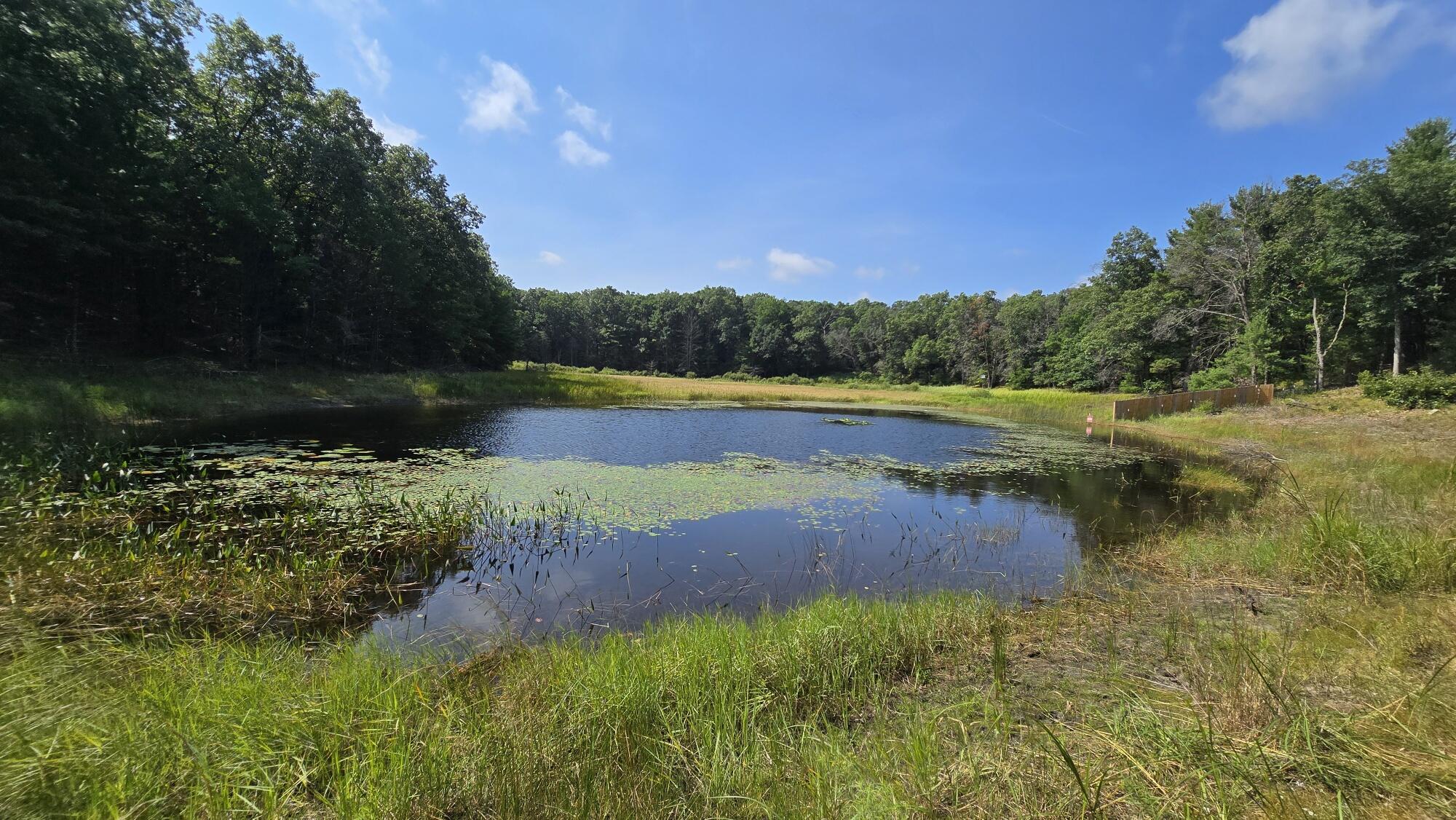 7616 Automobile Road Property Photo 63