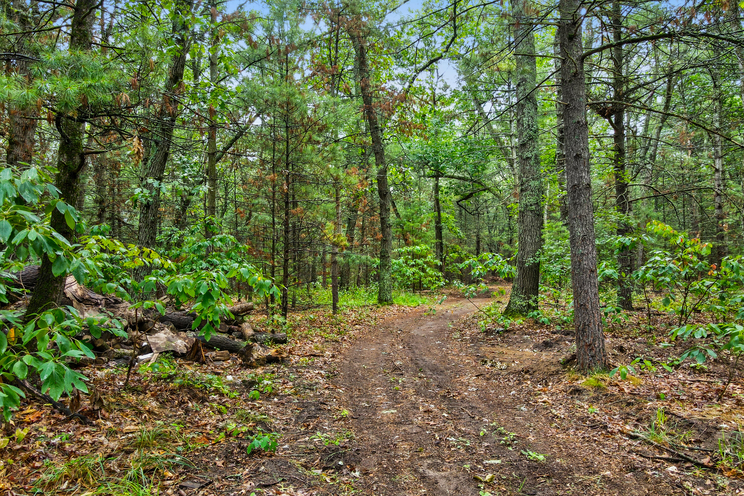 7616 Automobile Road Property Photo 78