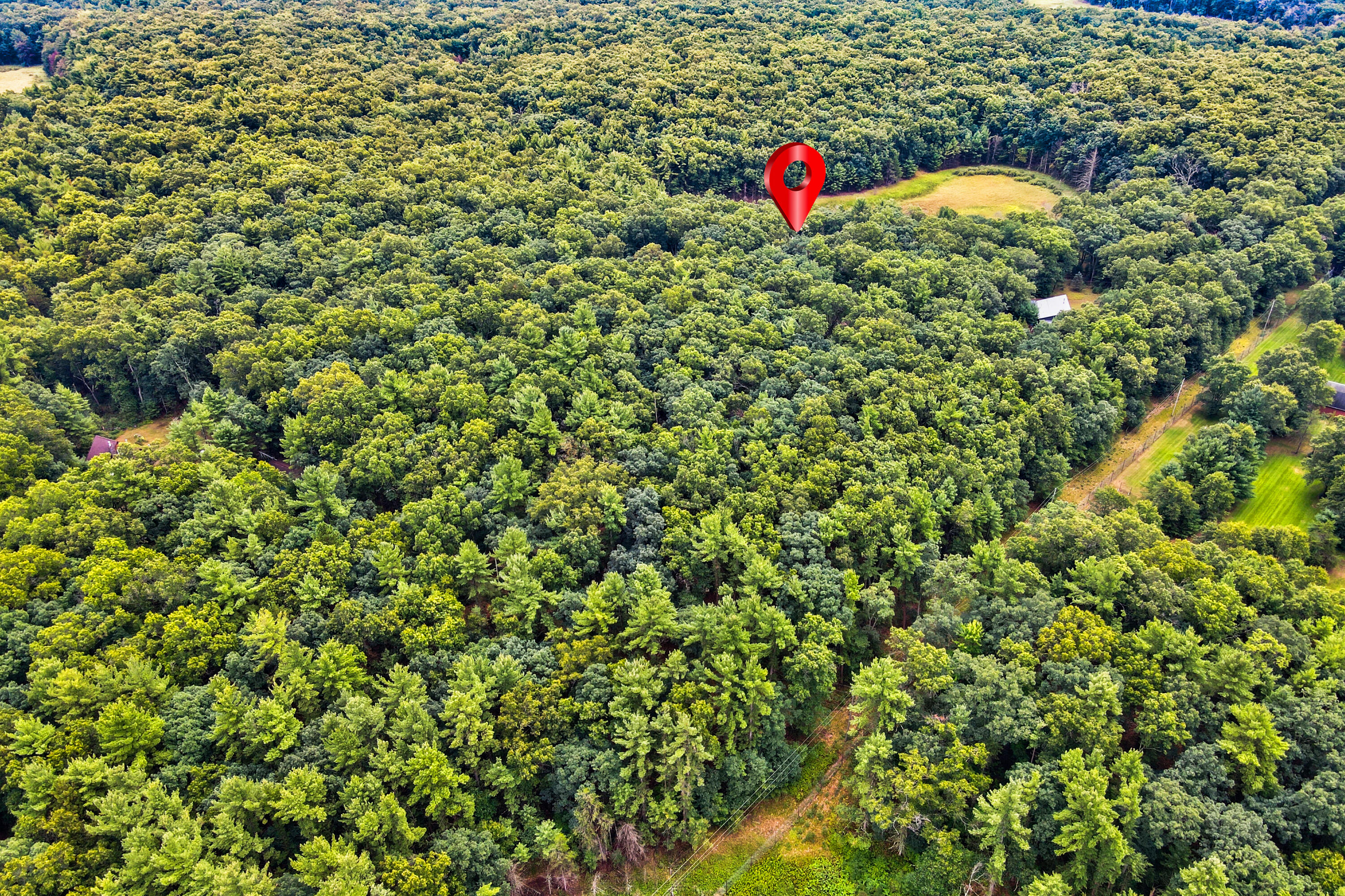 7616 Automobile Road Property Photo 80