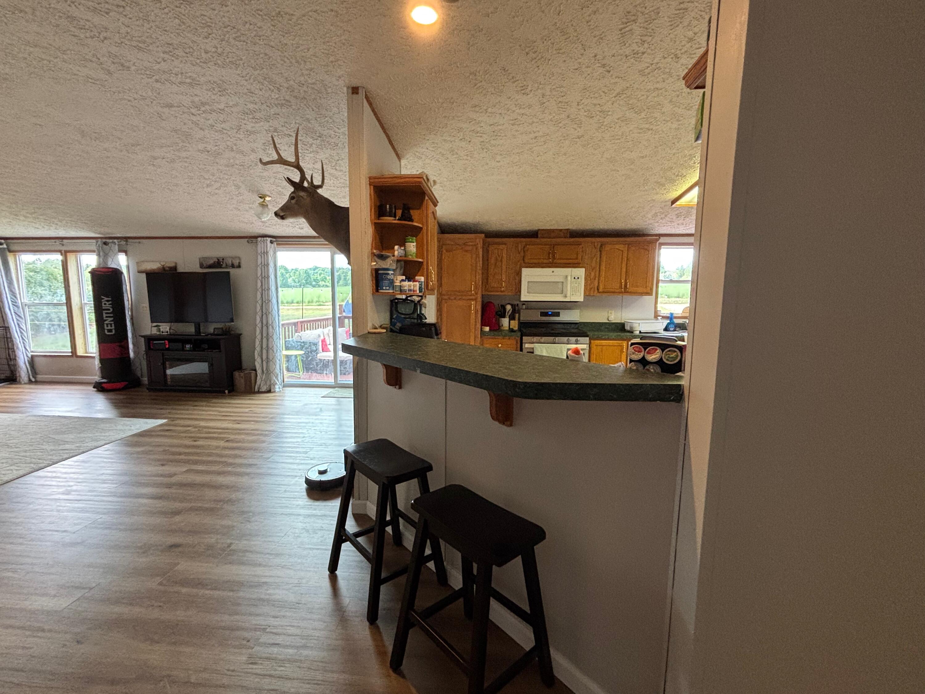 2905 E Jackson Road Property Photo 11