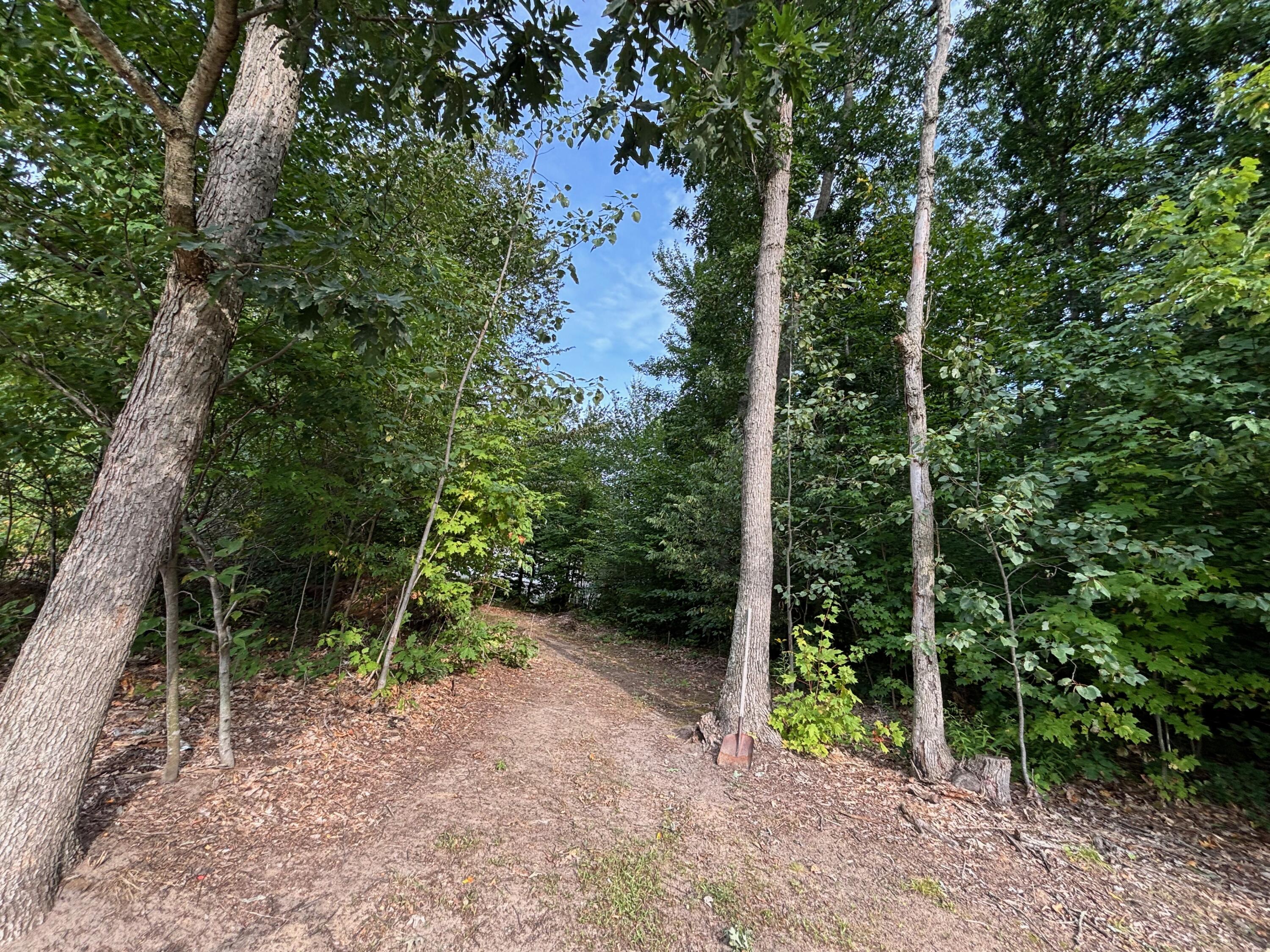 2905 E Jackson Road Property Photo 57